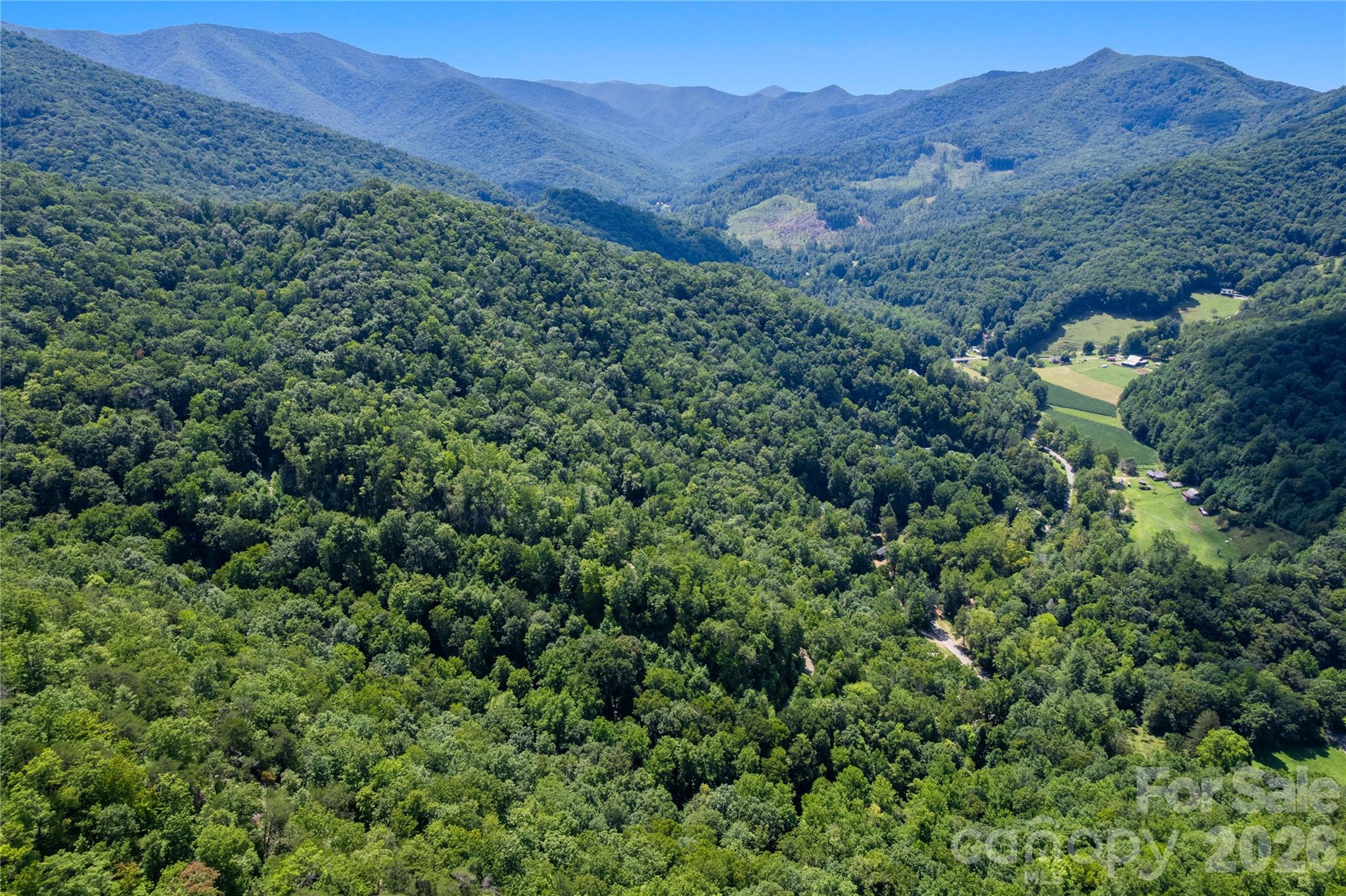 Off Little East Fork Road L-1 Property Photo 5