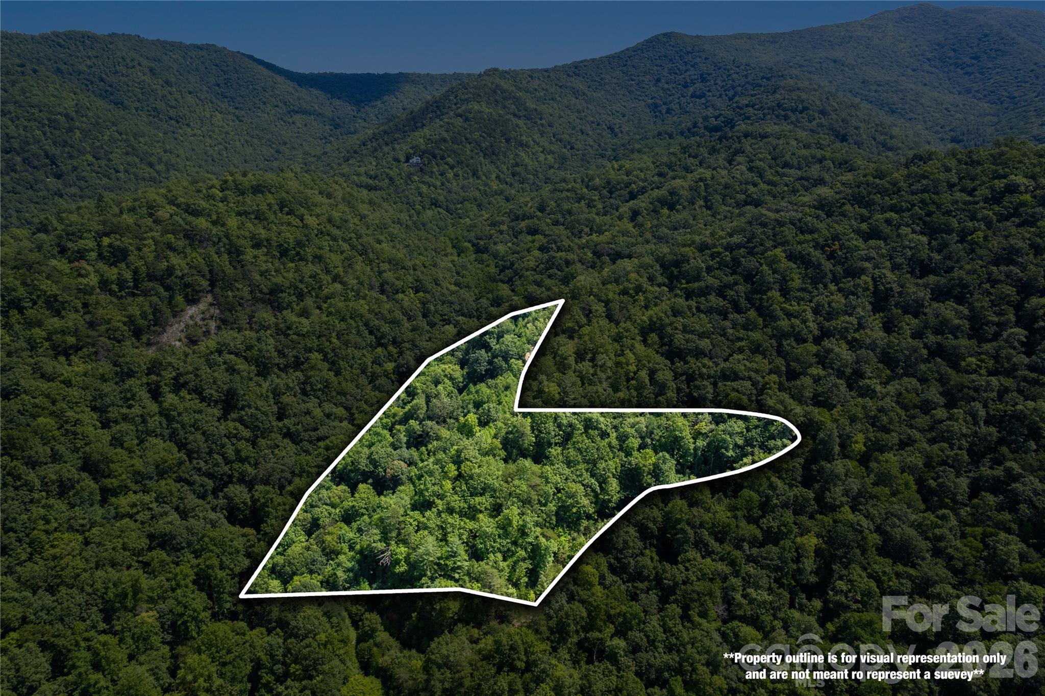 Off Little East Fork Road L-1 Property Photo 6