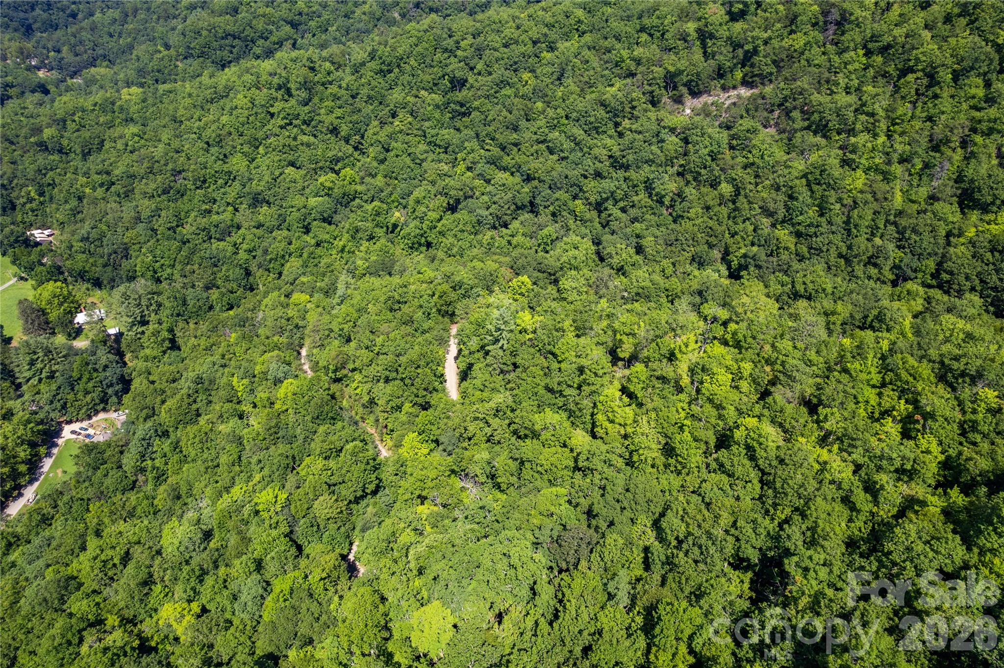 Off Little East Fork Road L-1 Property Photo 7
