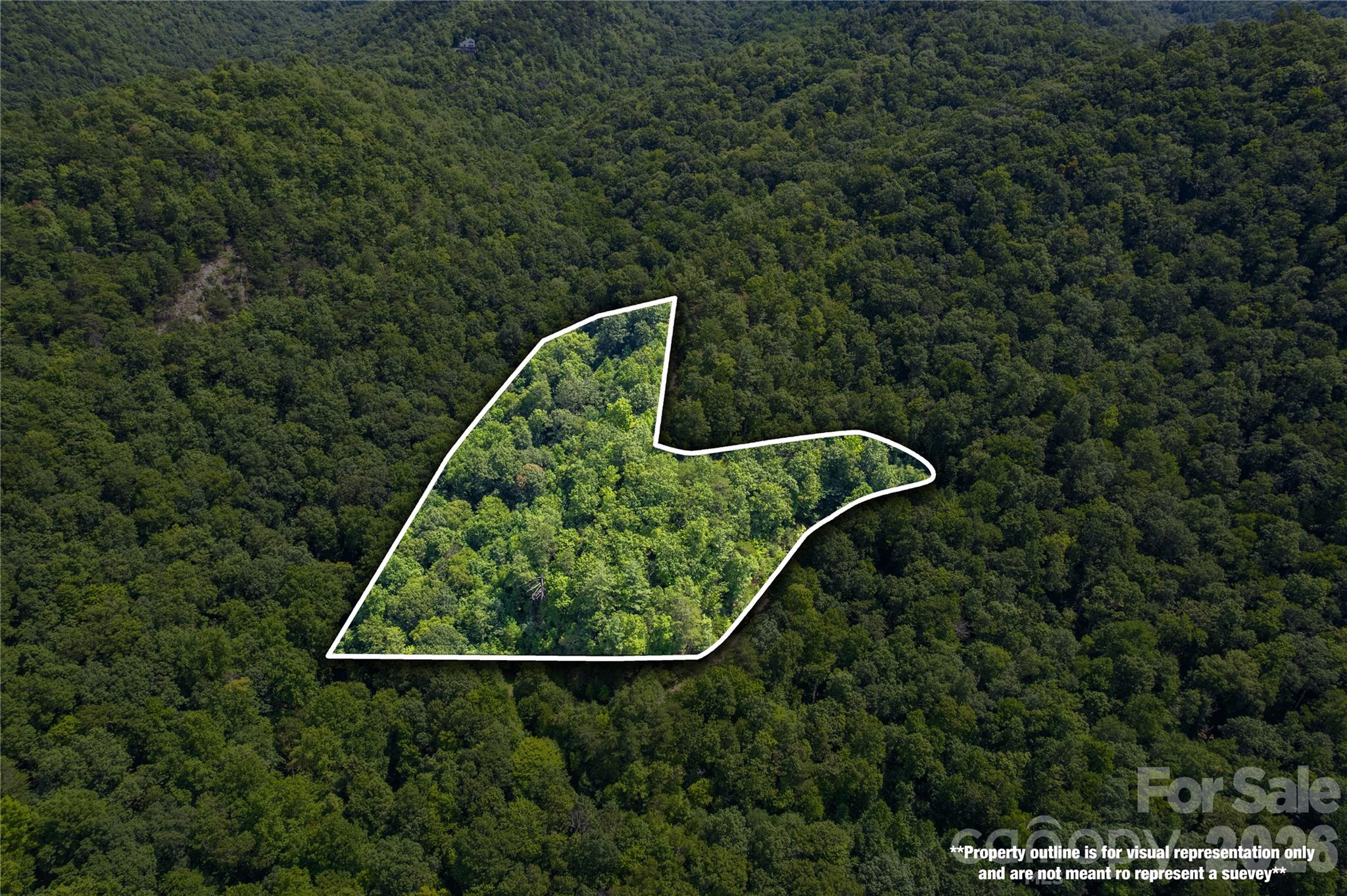 Off Little East Fork Road L-1 Property Photo 8
