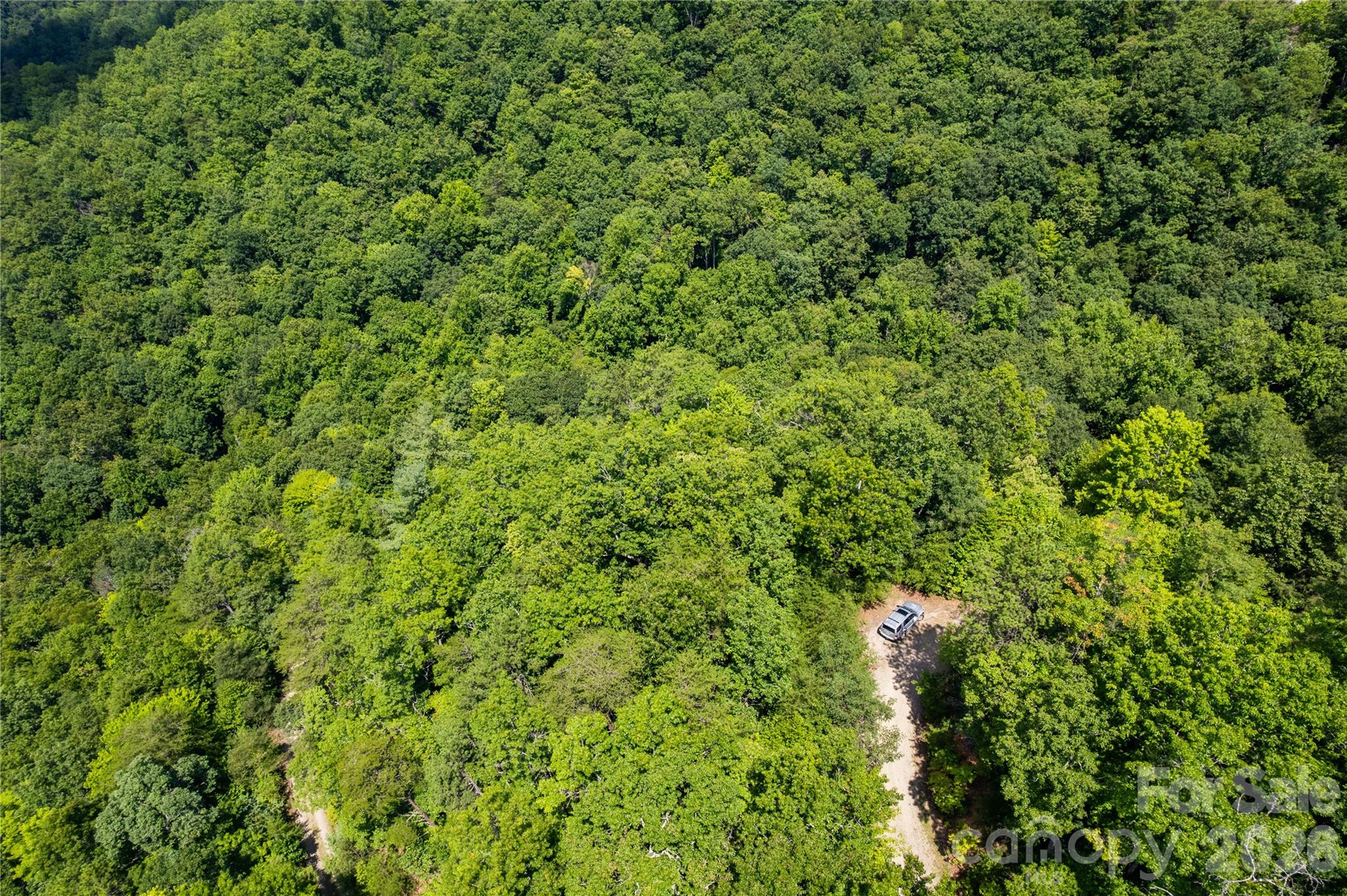 Off Little East Fork Road L-1 Property Photo 9