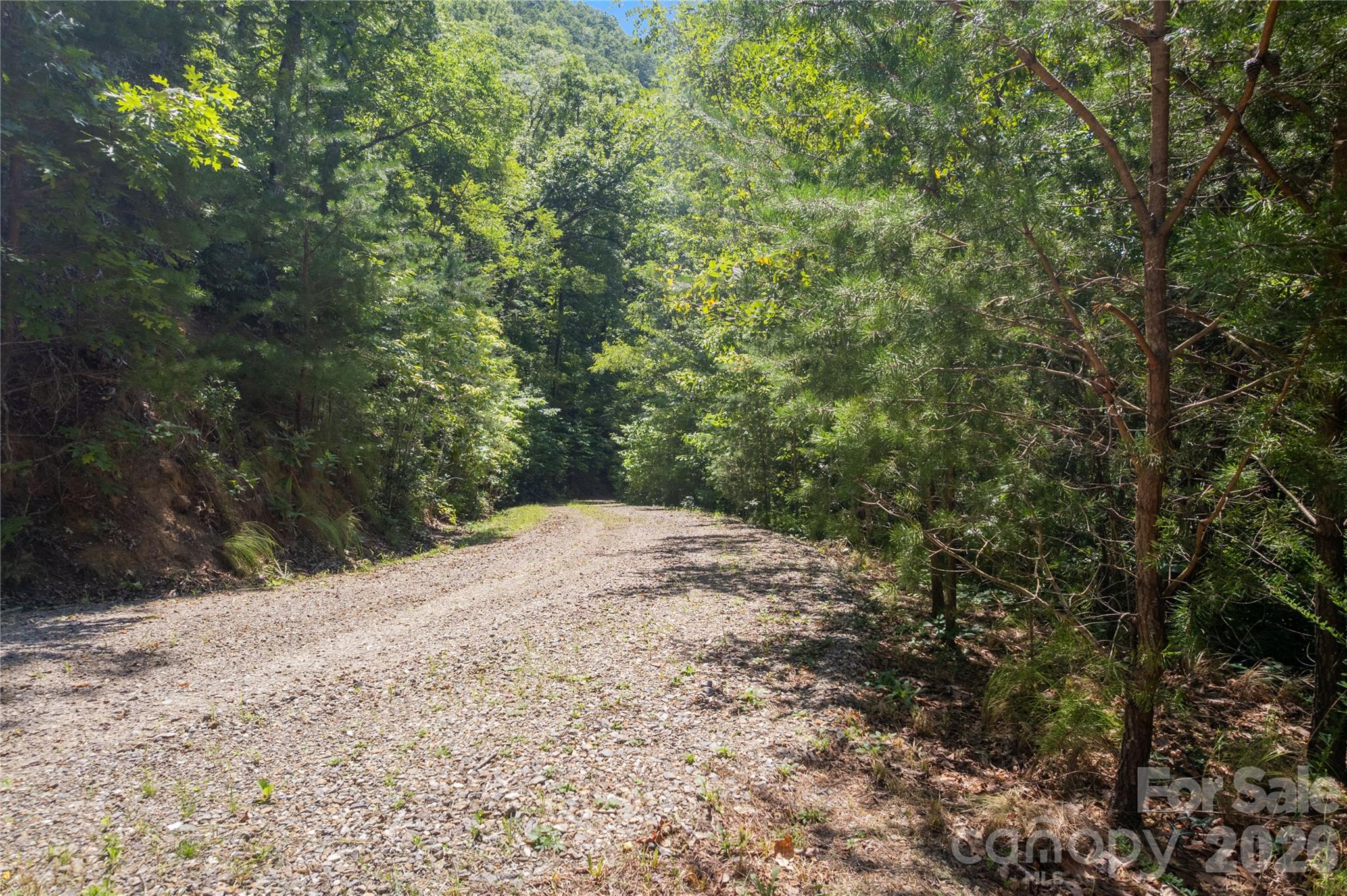 Off Little East Fork Road L-1 Property Photo 10