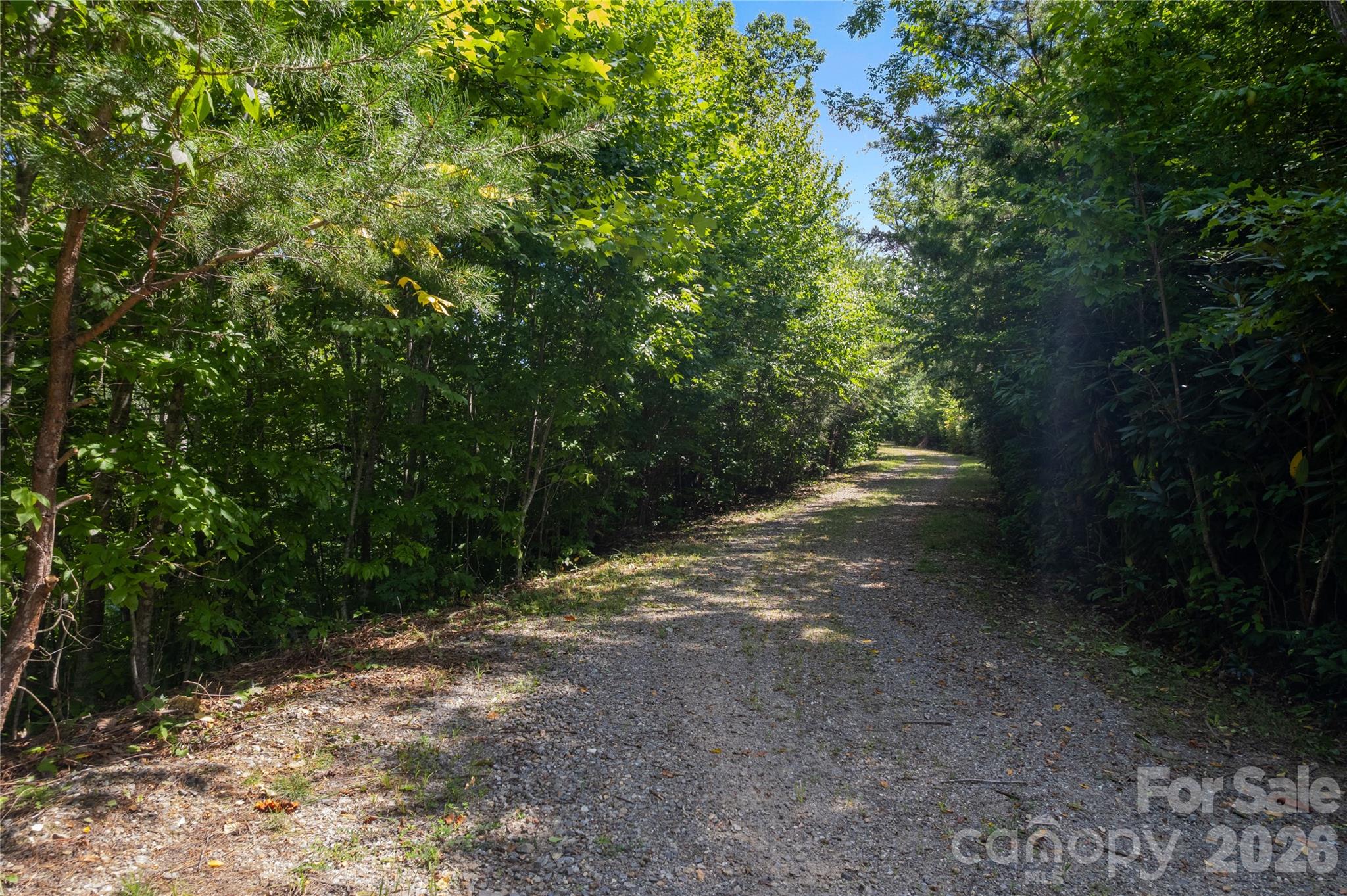 Off Little East Fork Road L-1 Property Photo 11