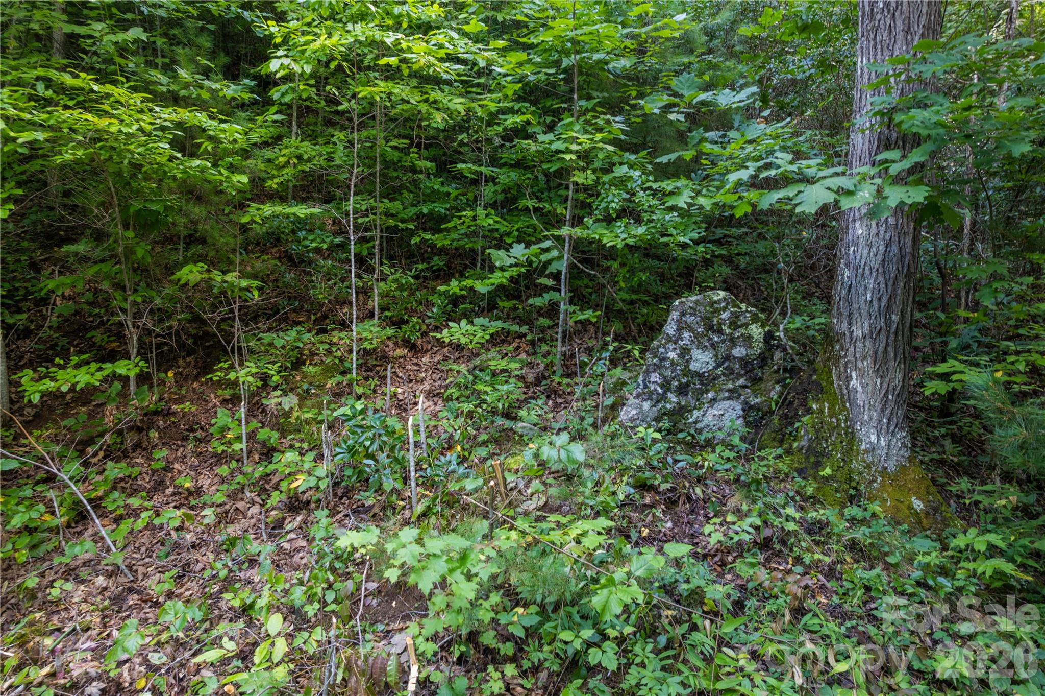 Off Little East Fork Road L-1 Property Photo 12