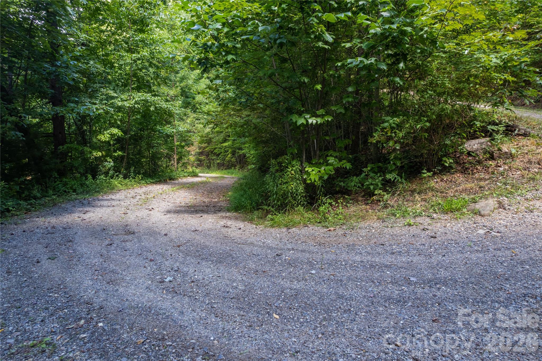 Off Little East Fork Road L-1 Property Photo 13