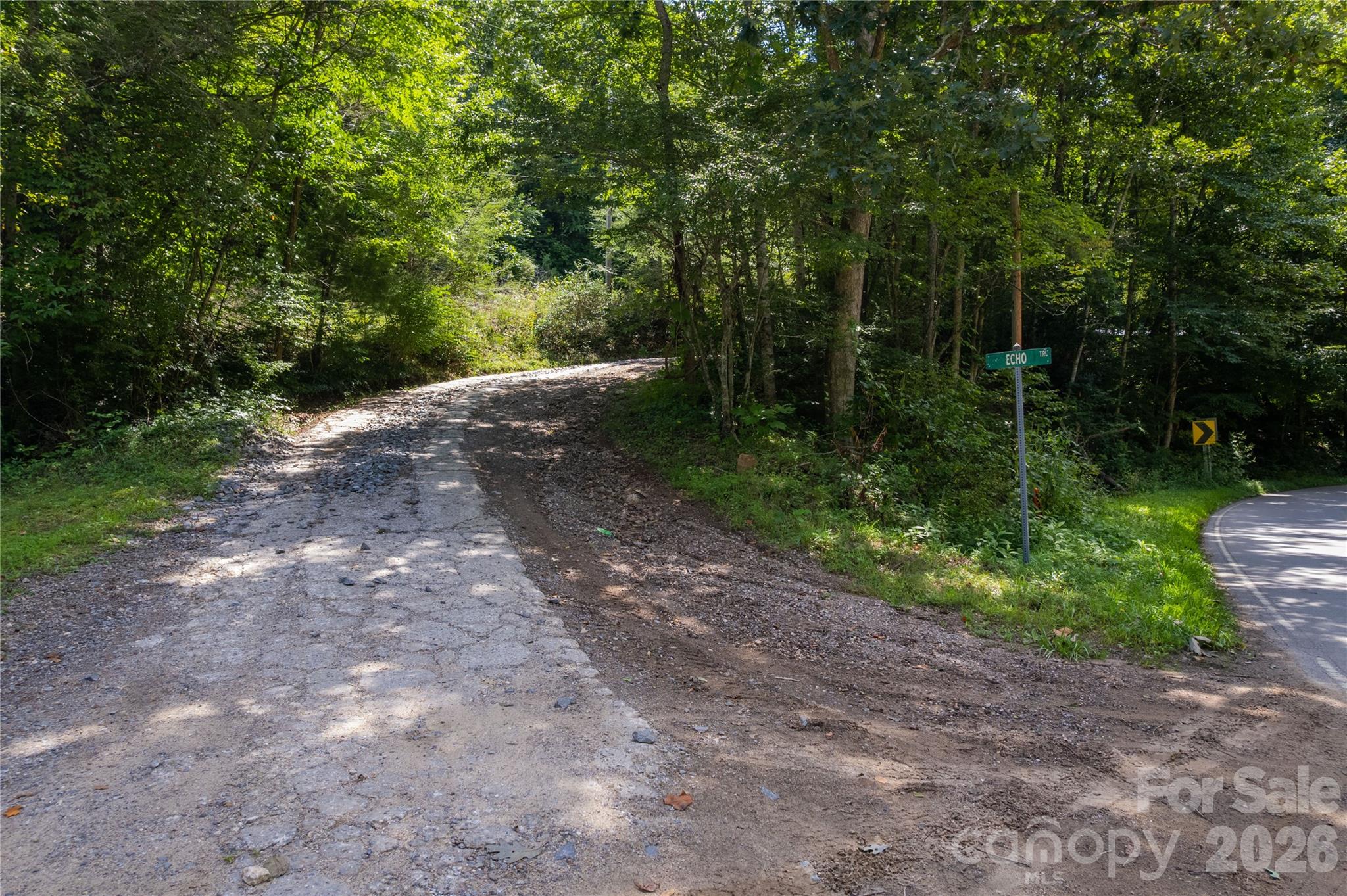 Off Little East Fork Road L-1 Property Photo 14