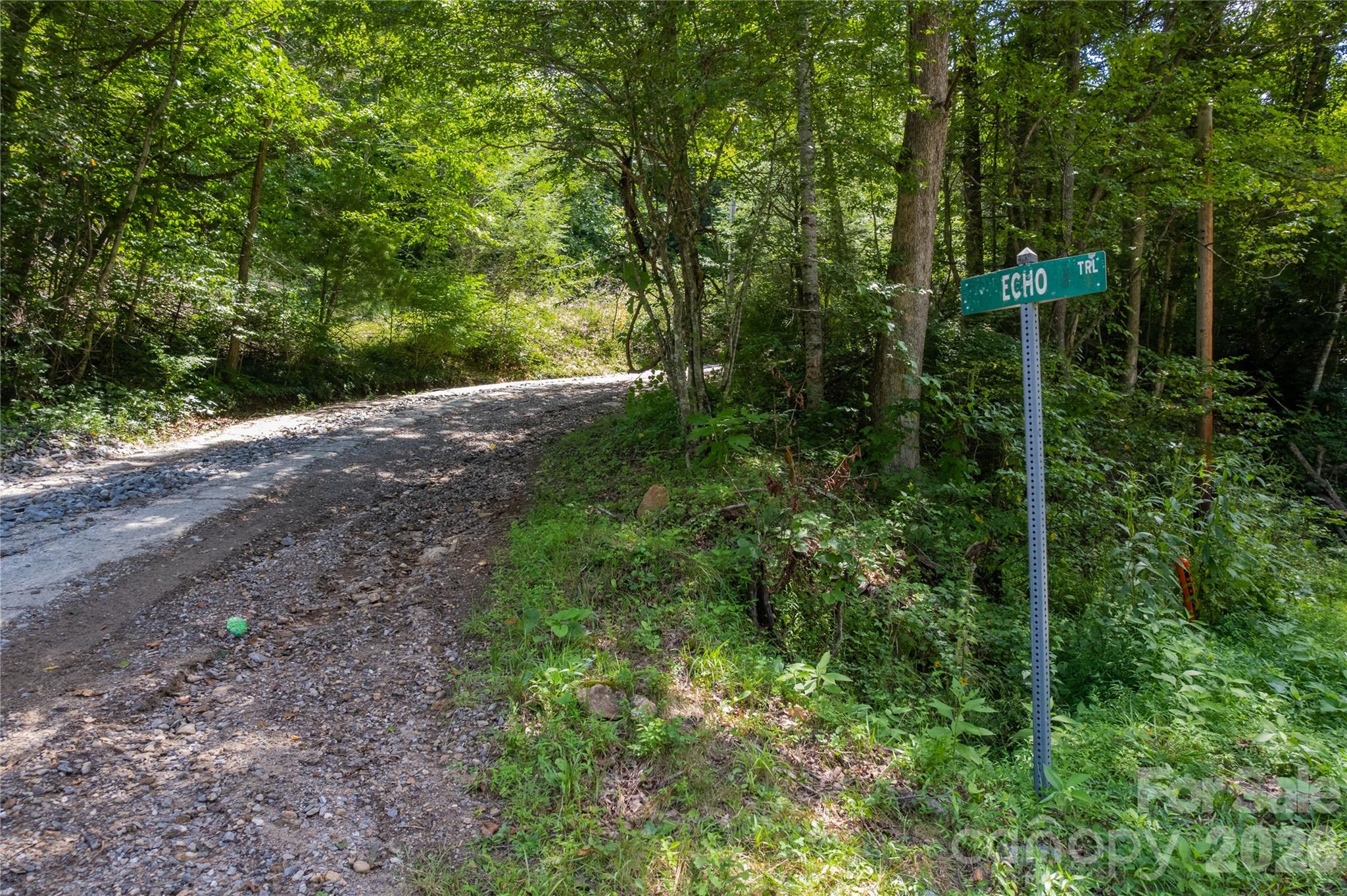 Off Little East Fork Road L-1 Property Photo 15