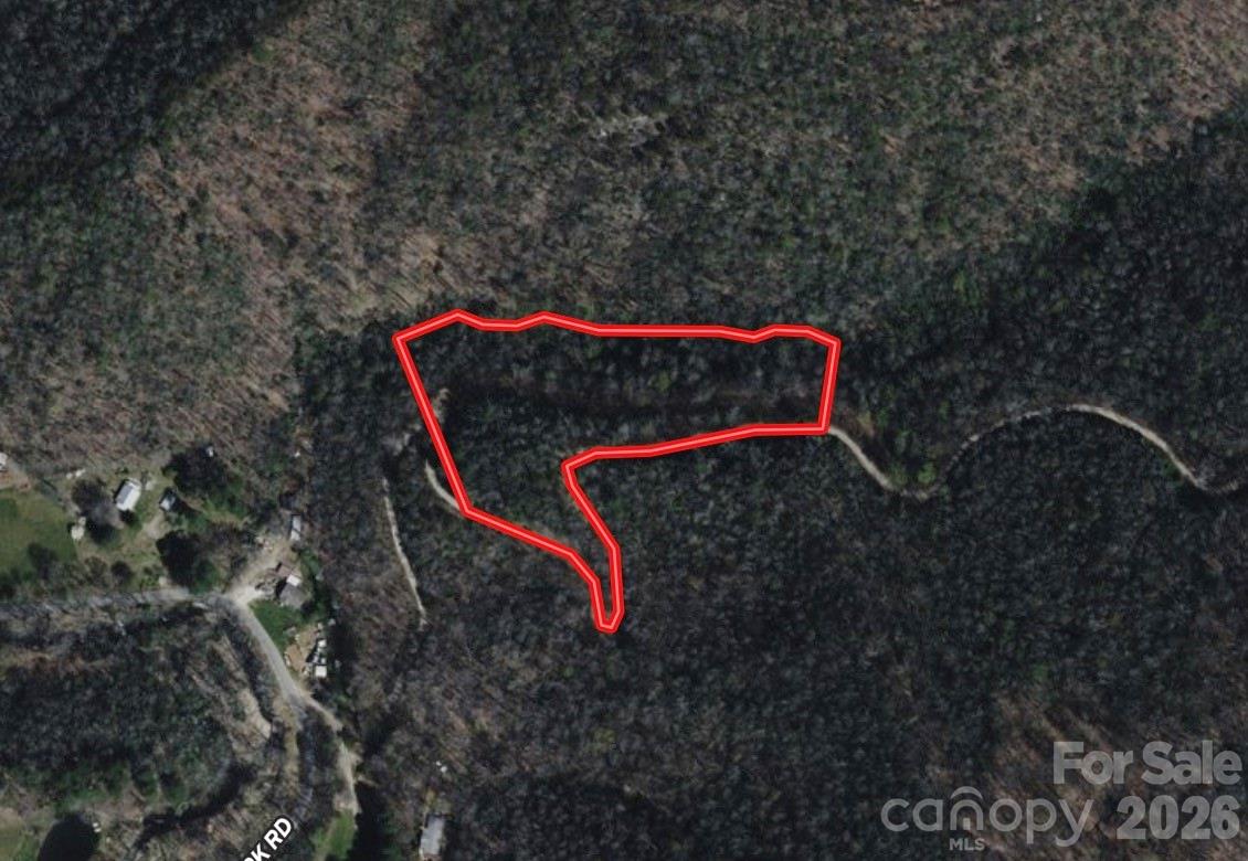 Off Little East Fork Road L-1 Property Photo 16