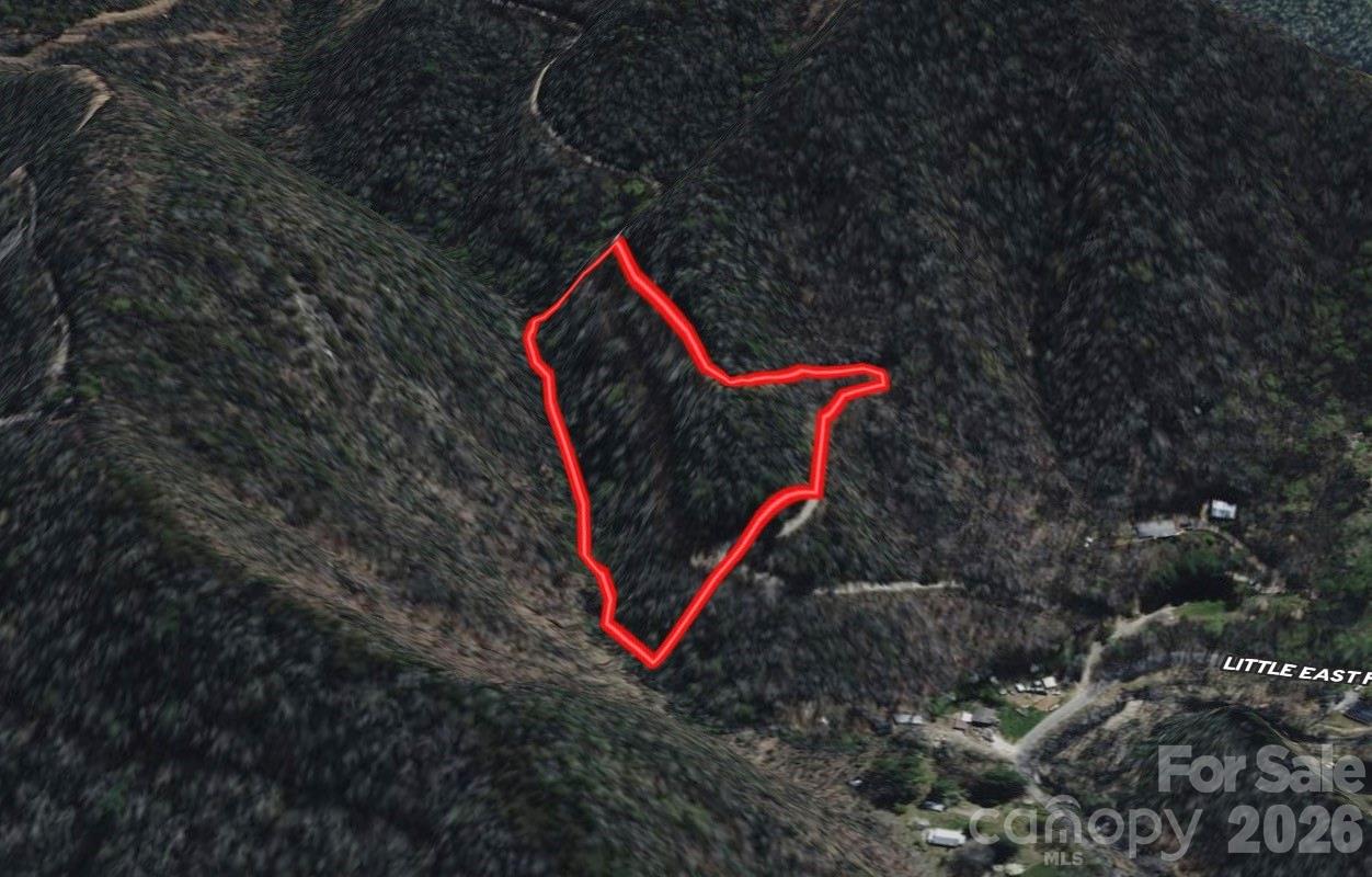 Off Little East Fork Road L-1 Property Photo 18