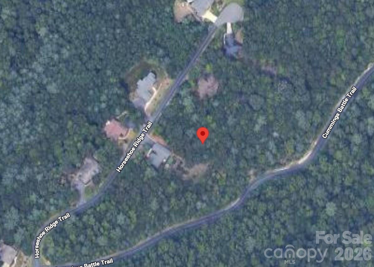 Lot 117 Horse Shoe Ridge Trail 117 Property Photo 2
