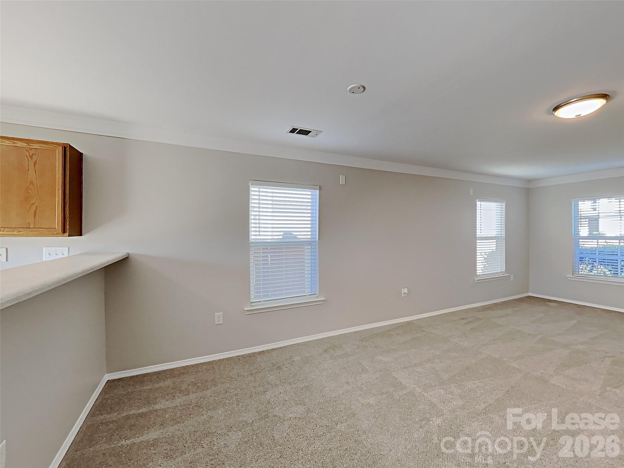 4409 Kiddle Lane Property Photo 6