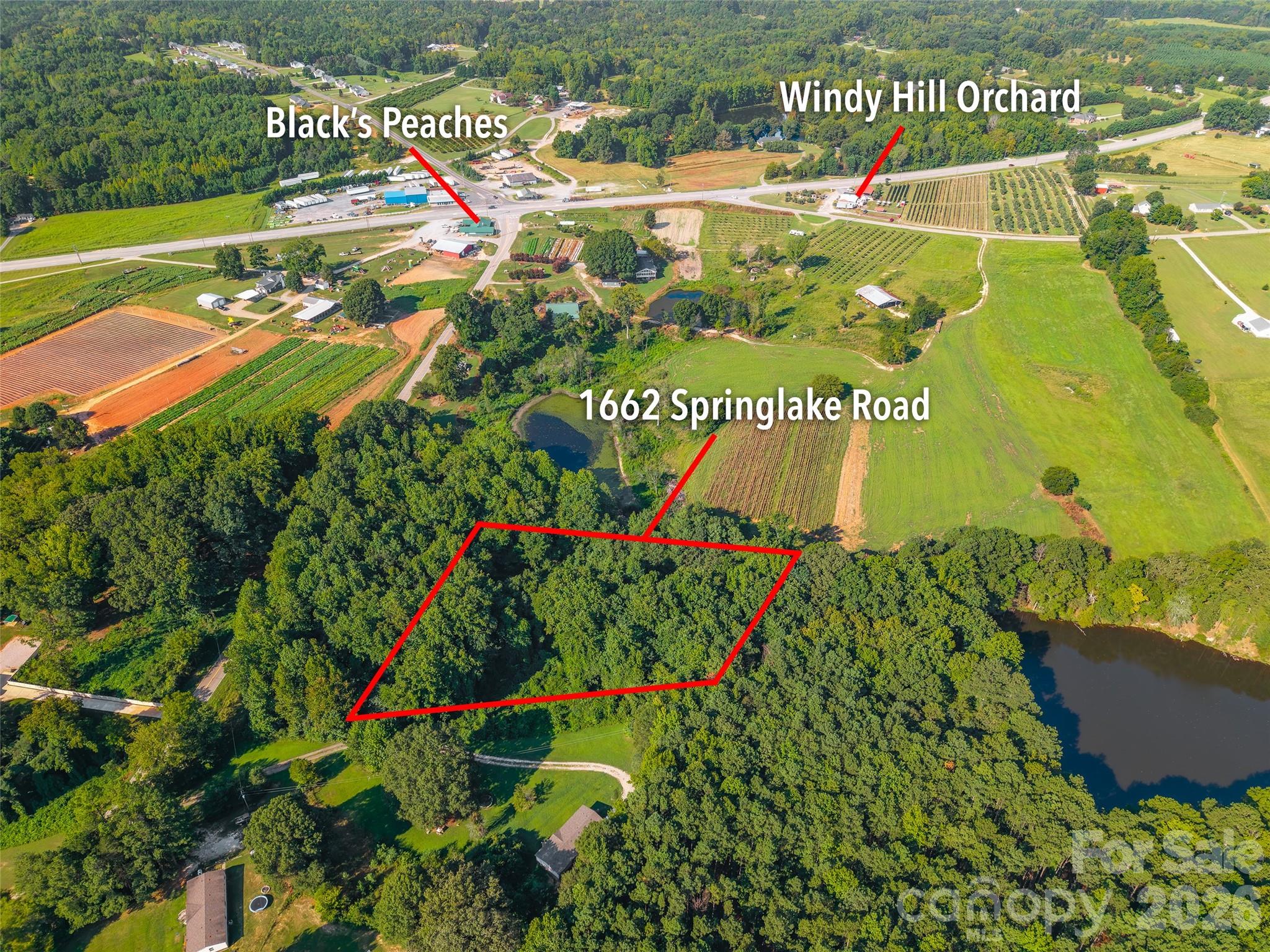 1662 Springlake Road Property Photo 7
