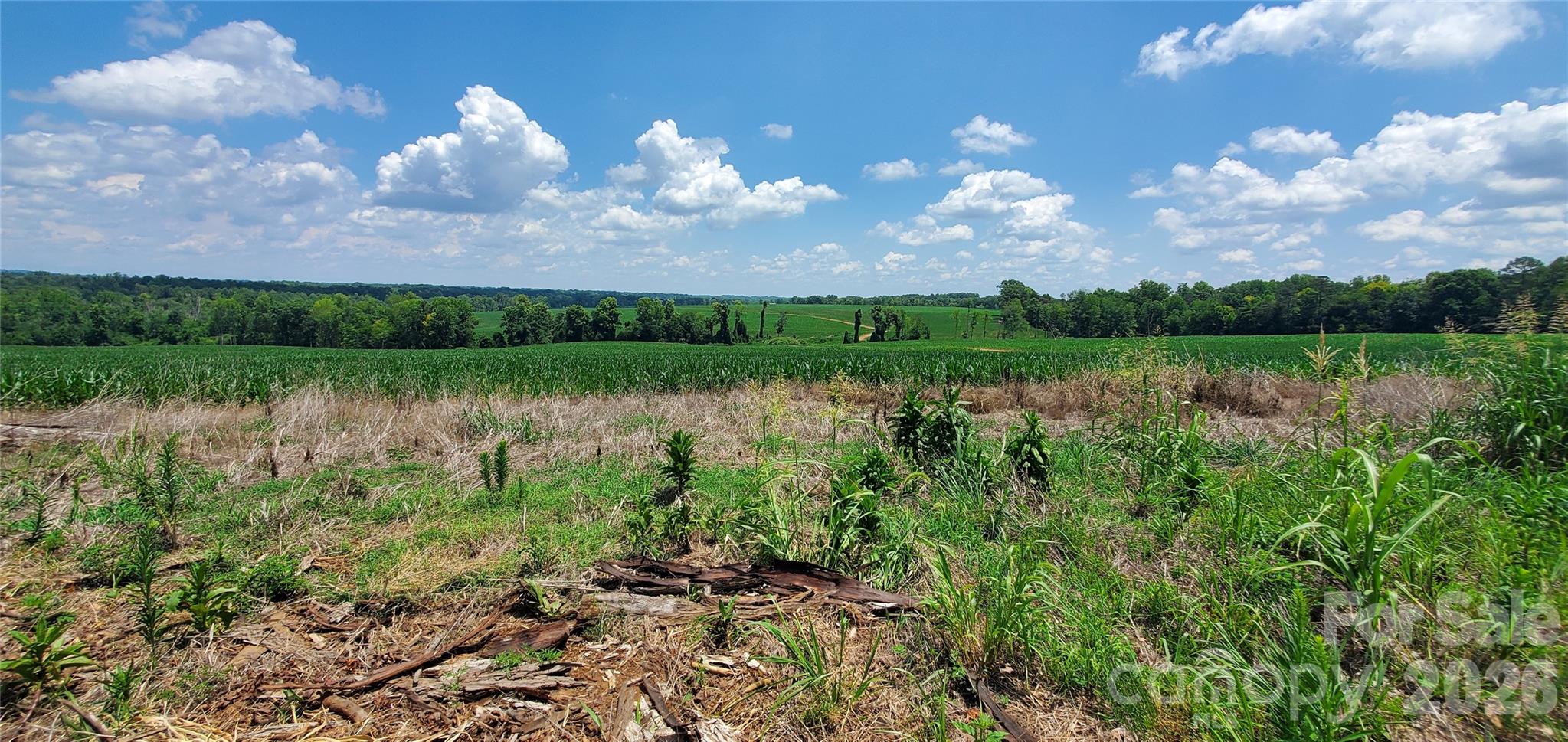 3641 Us Highway 21 Highway Property Photo 4