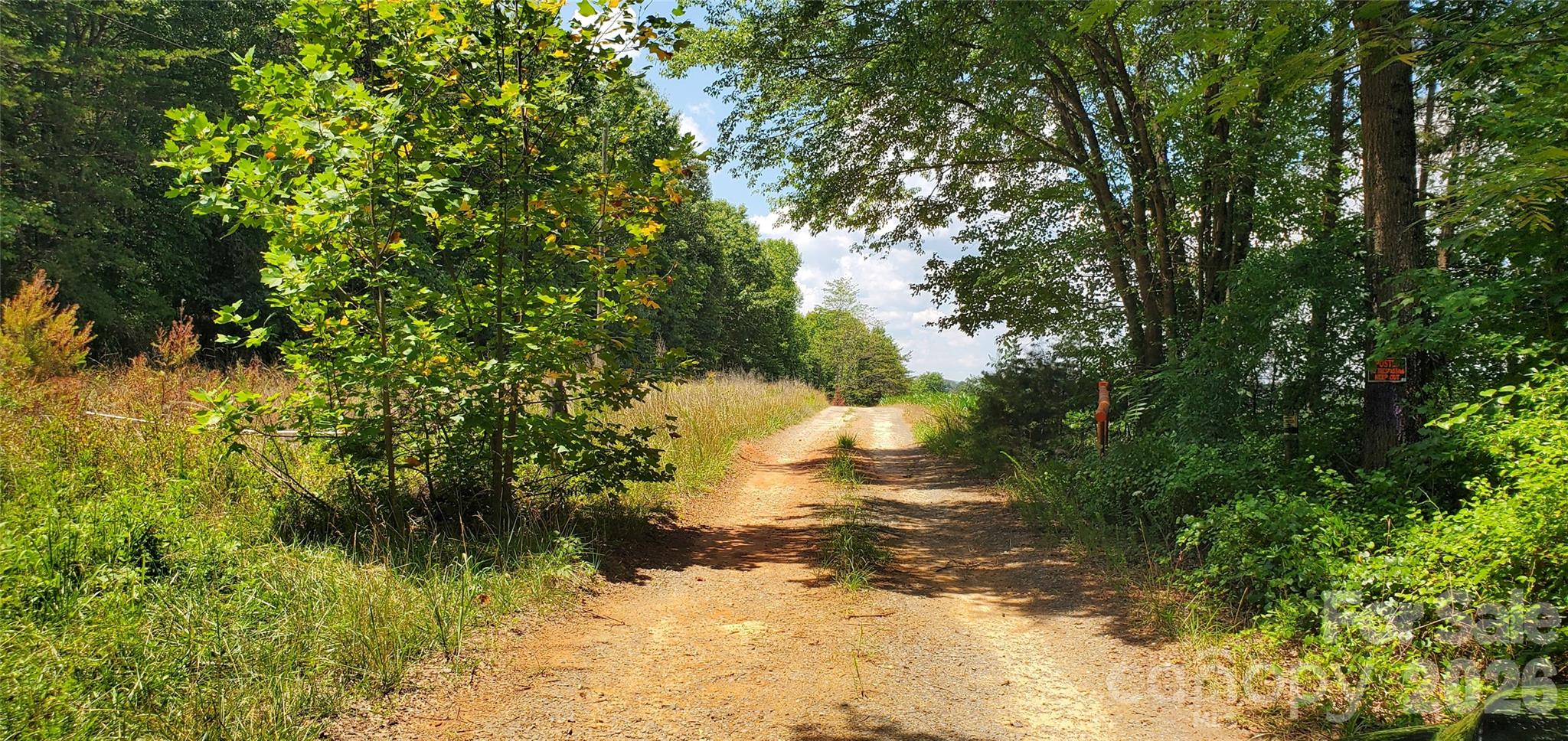 3641 Us Highway 21 Highway Property Photo 9