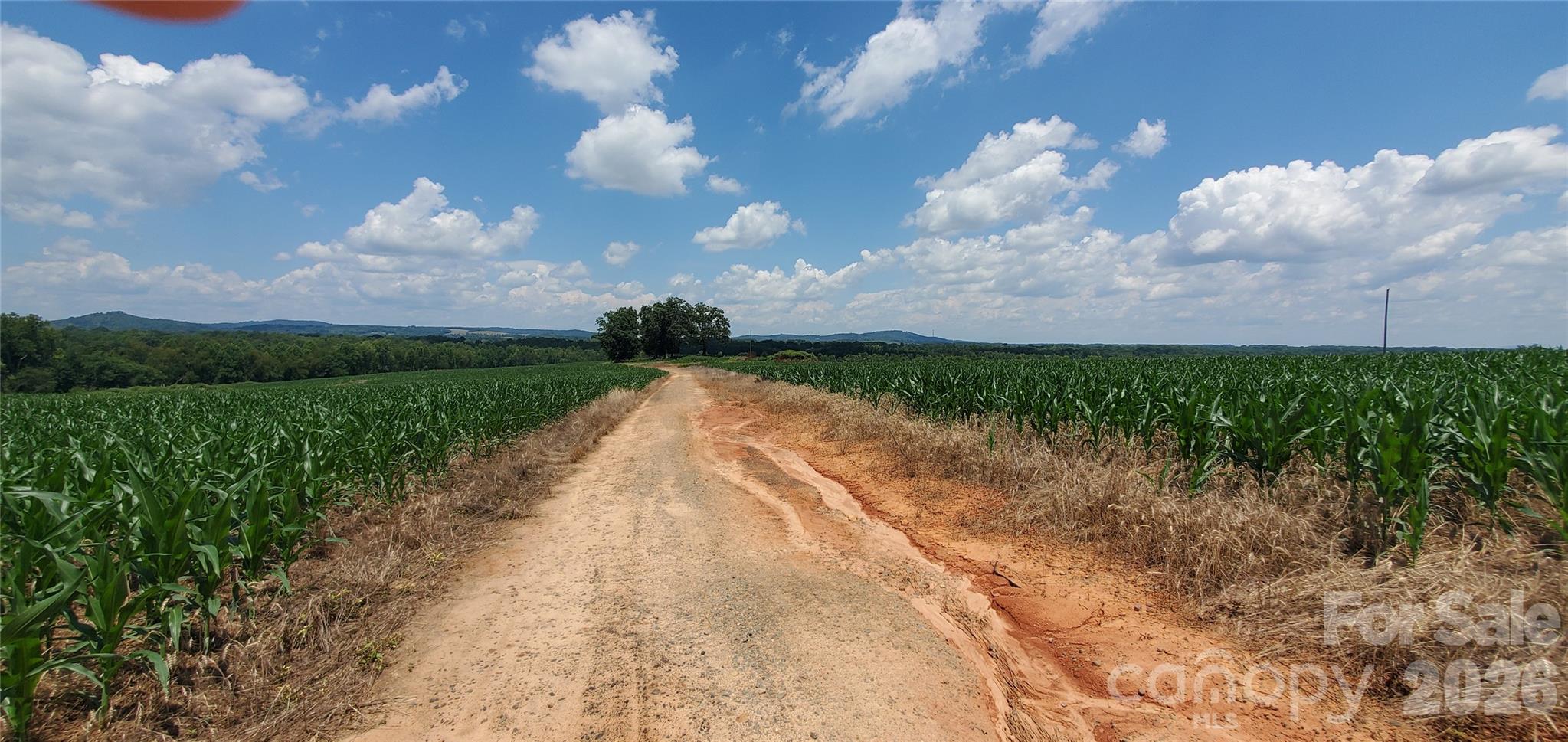 3641 Us Highway 21 Highway Property Photo 12