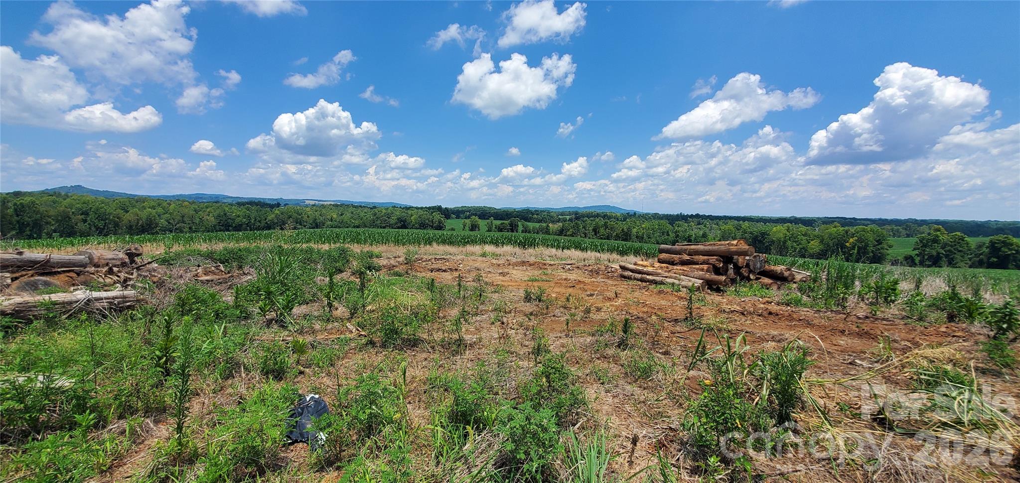 3641 Us Highway 21 Highway Property Photo 13