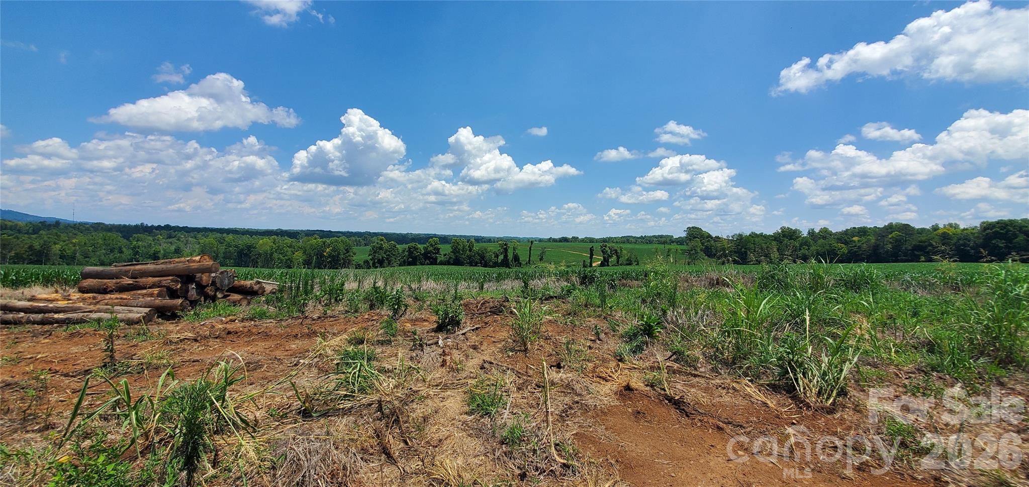 3641 Us Highway 21 Highway Property Photo 14