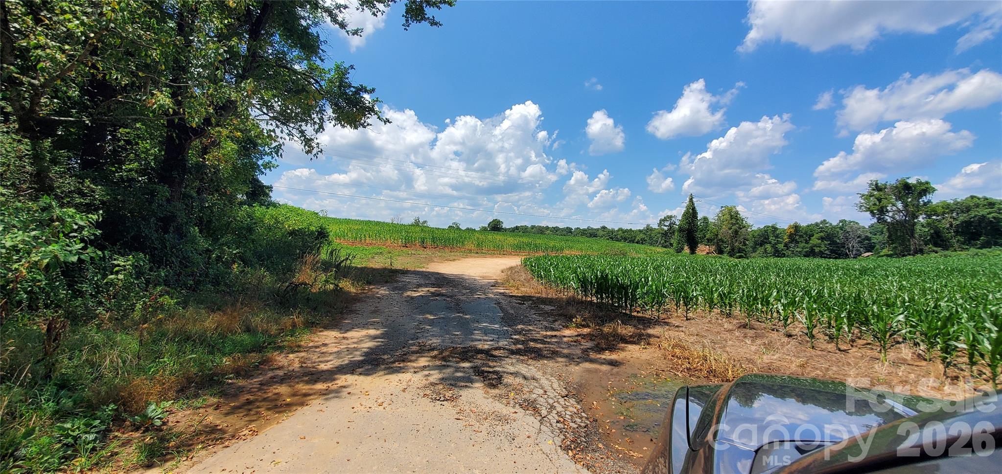 3641 Us Highway 21 Highway Property Photo 25