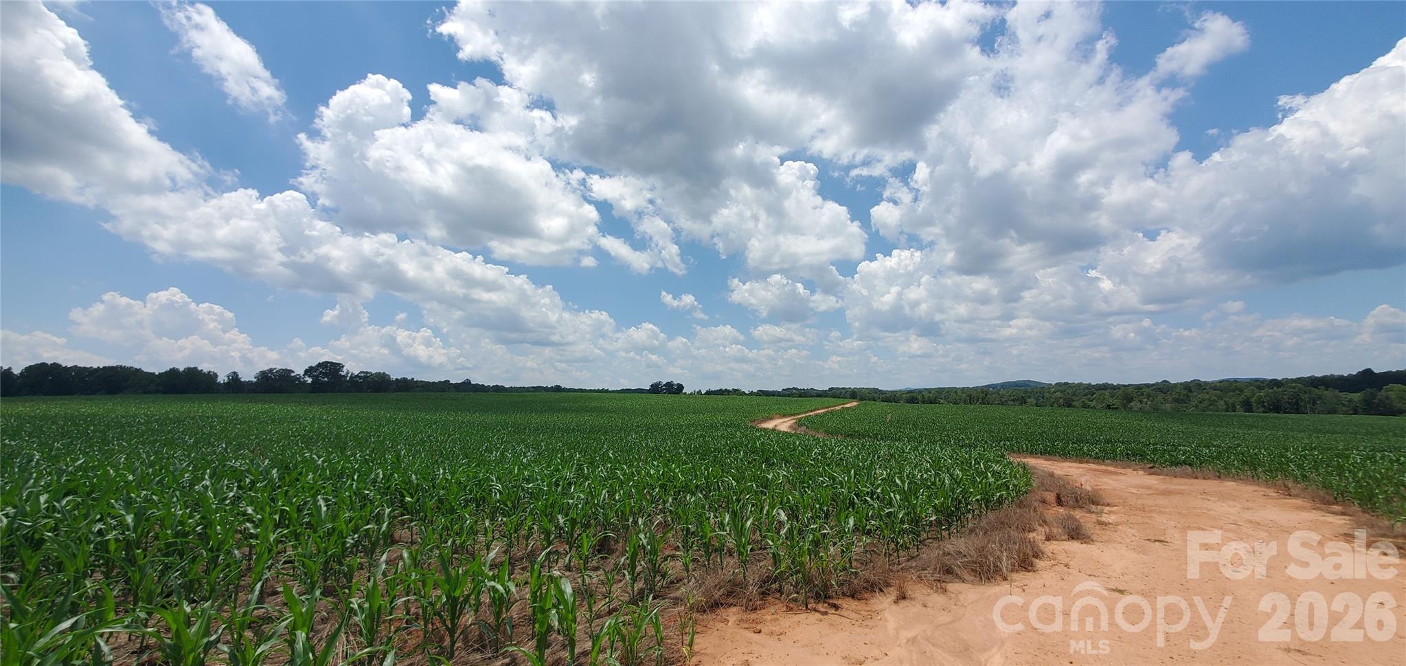 3641 Us Highway 21 Highway Property Photo 26