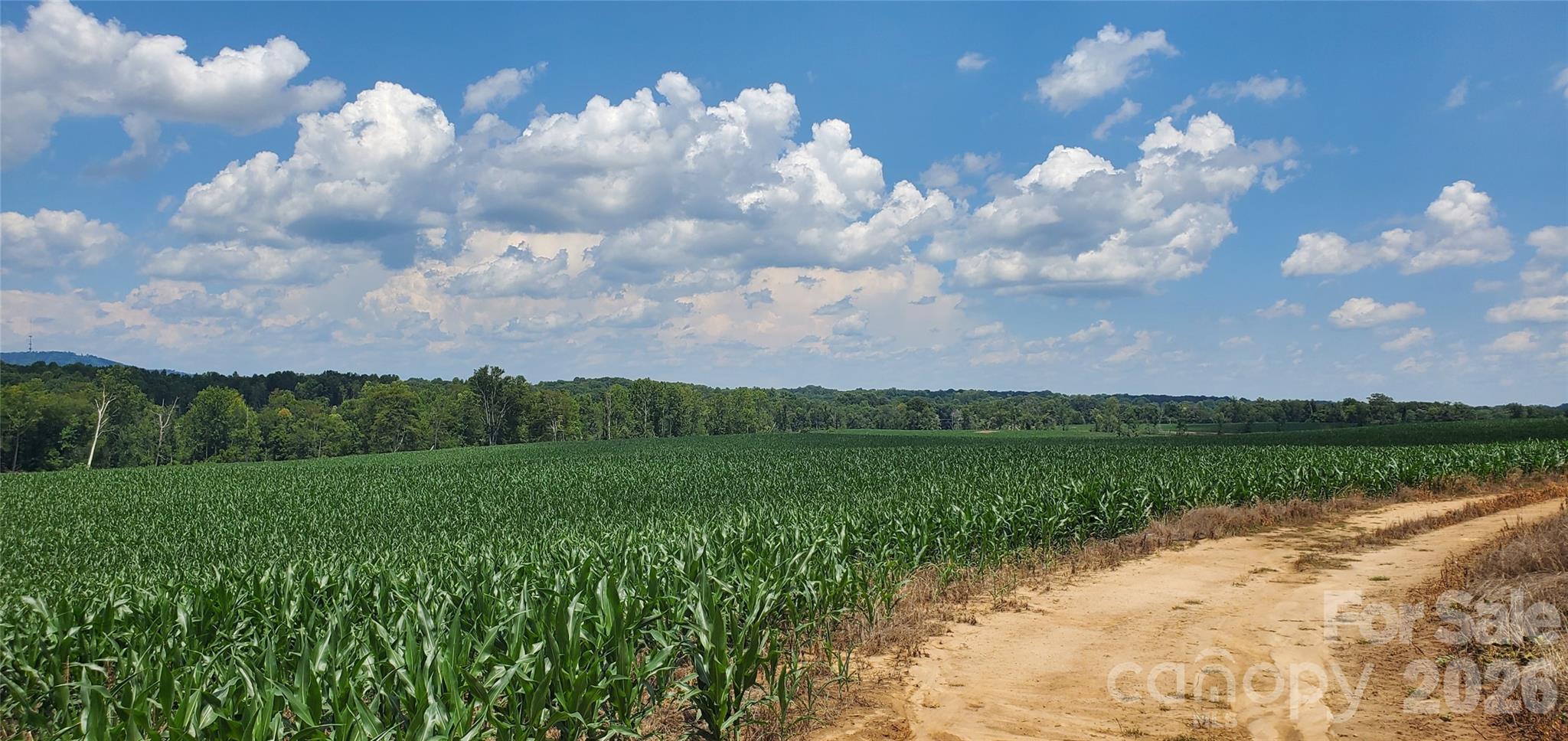 3641 Us Highway 21 Highway Property Photo 28