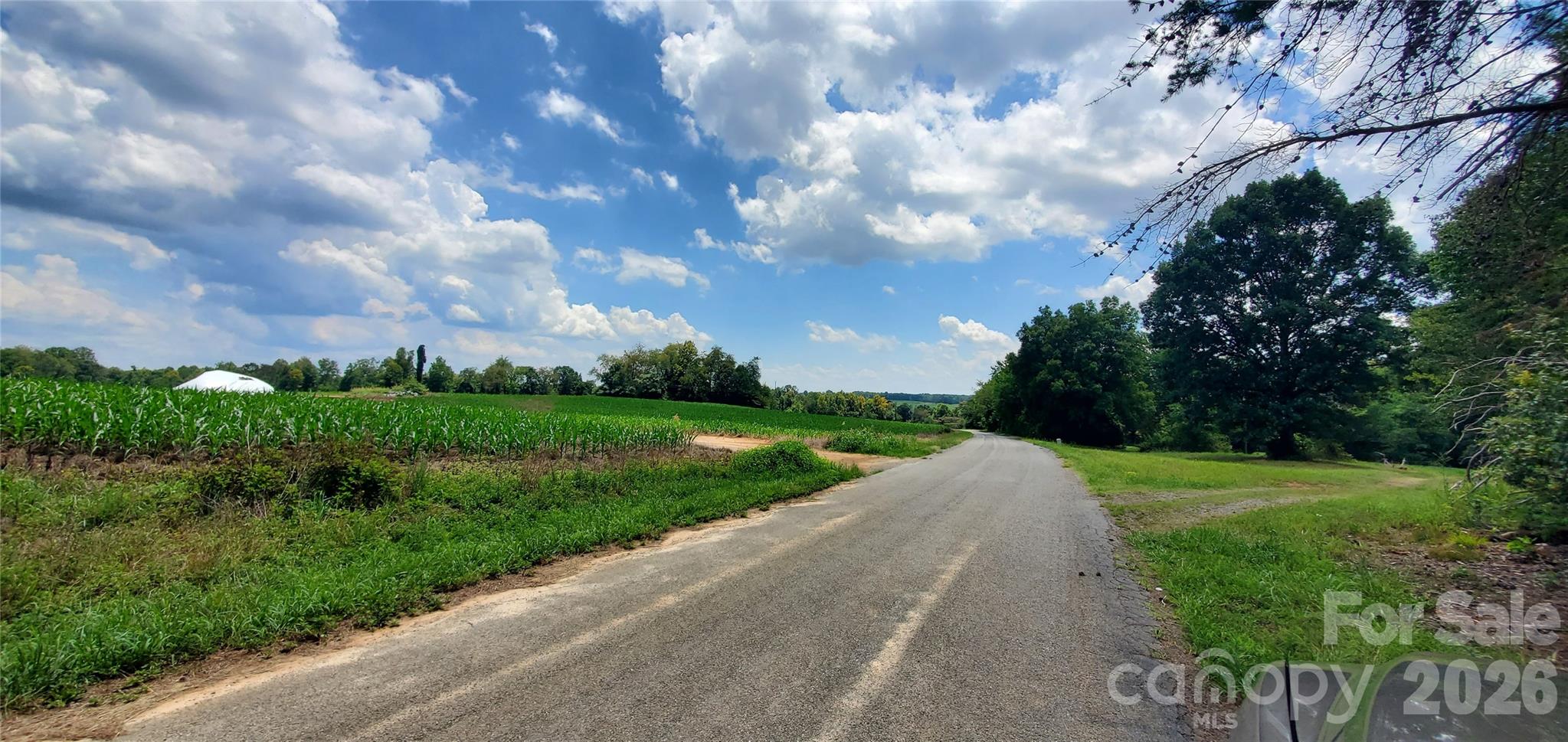 3641 Us Highway 21 Highway Property Photo 30