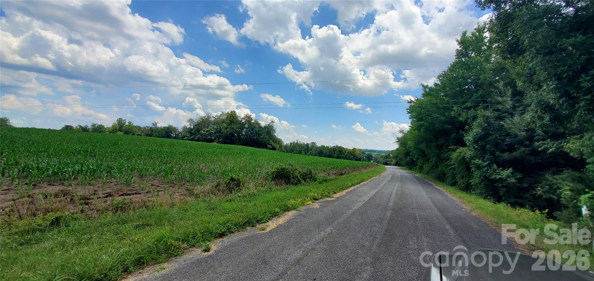 3641 Us Highway 21 Highway Property Photo 31