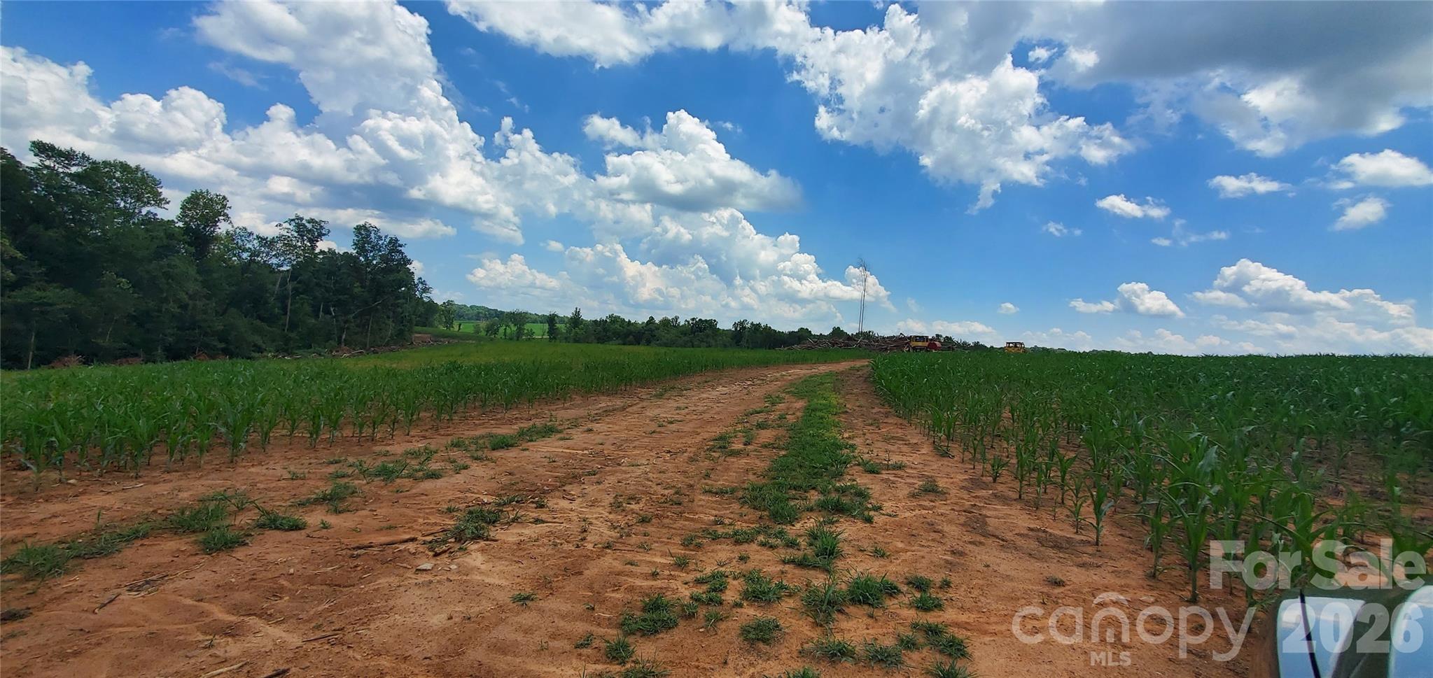 3641 Us Highway 21 Highway Property Photo 34