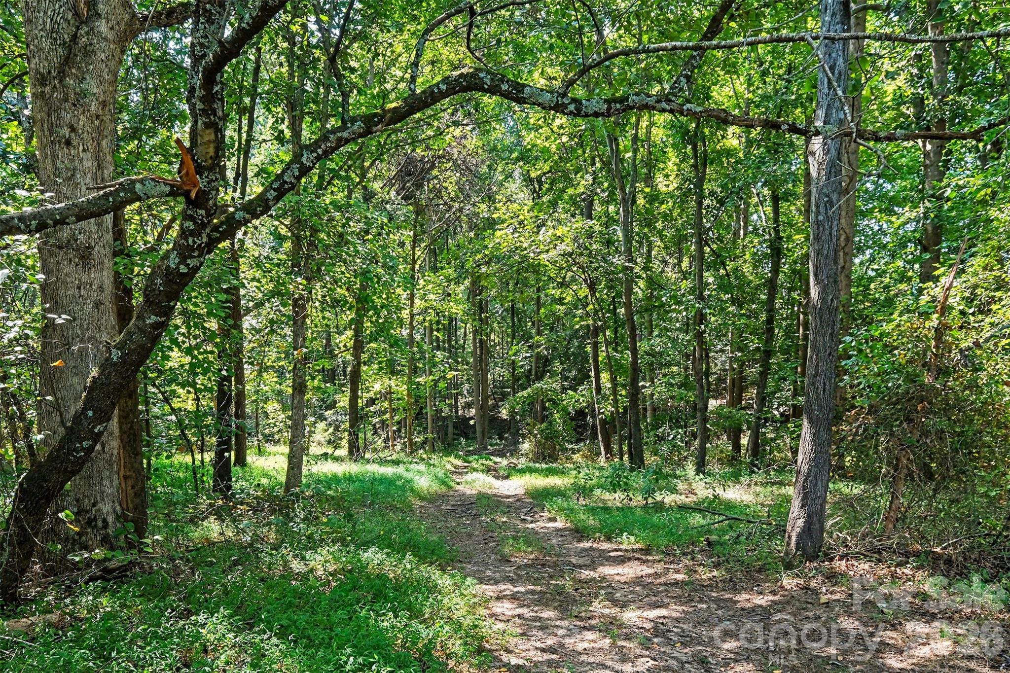 16 Acres Dan Rhyne Road Property Photo 3