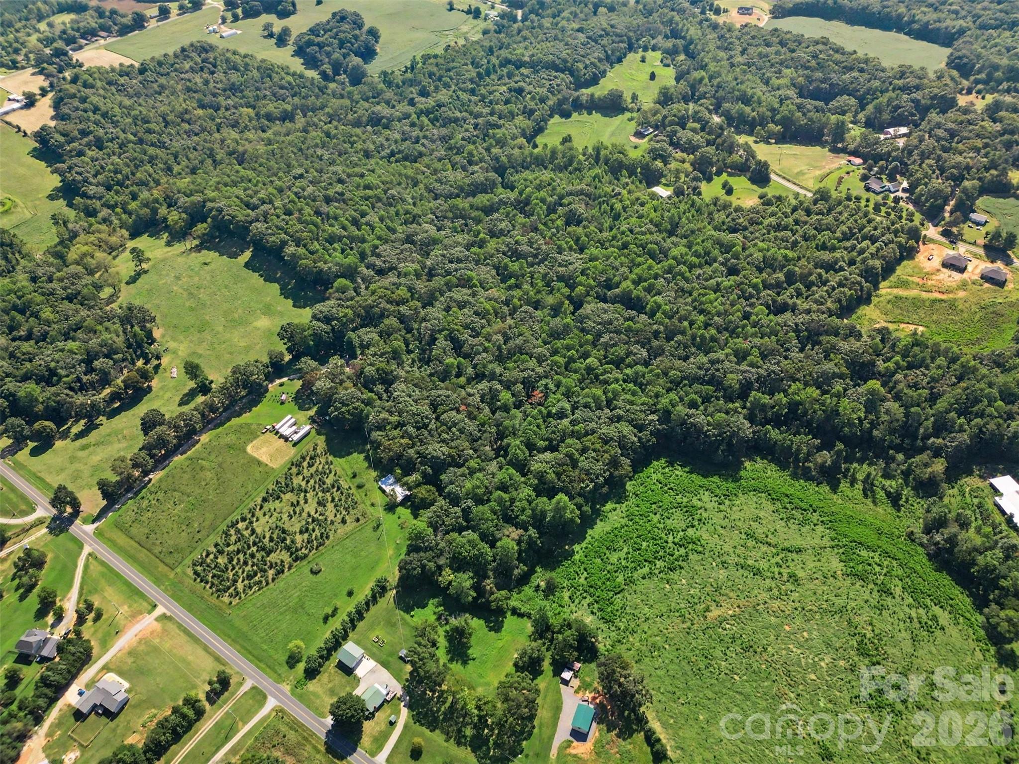 16 Acres Dan Rhyne Road Property Photo 6