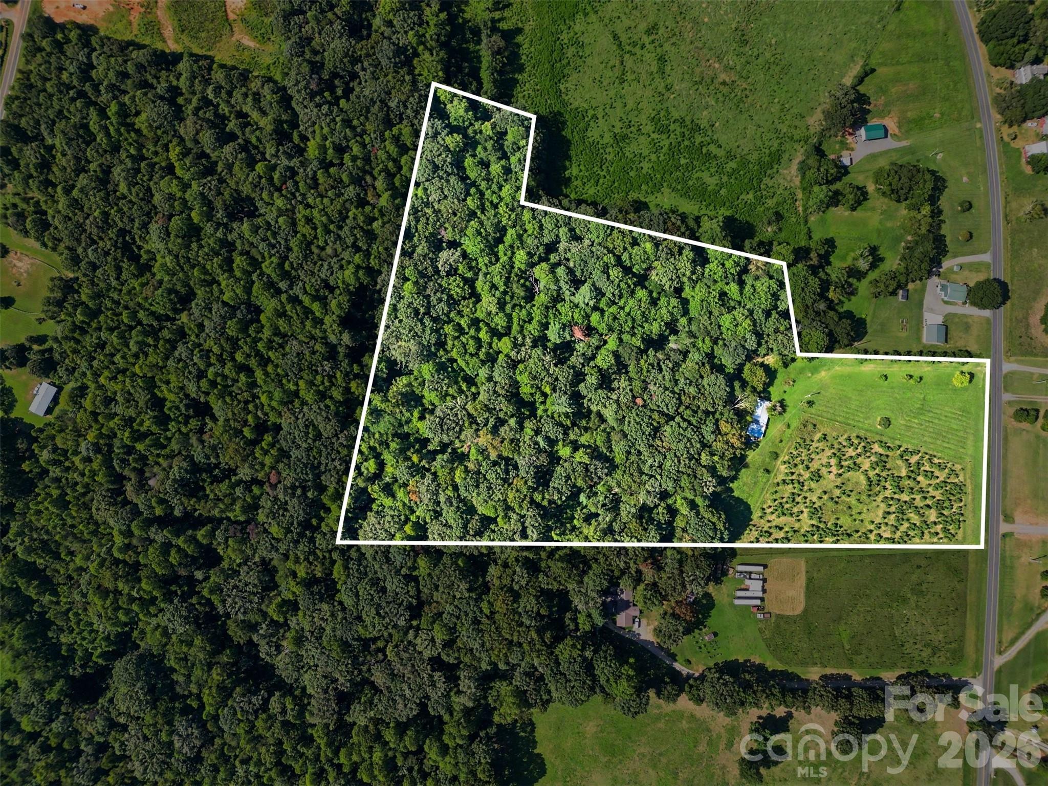 16 Acres Dan Rhyne Road Property Photo 11
