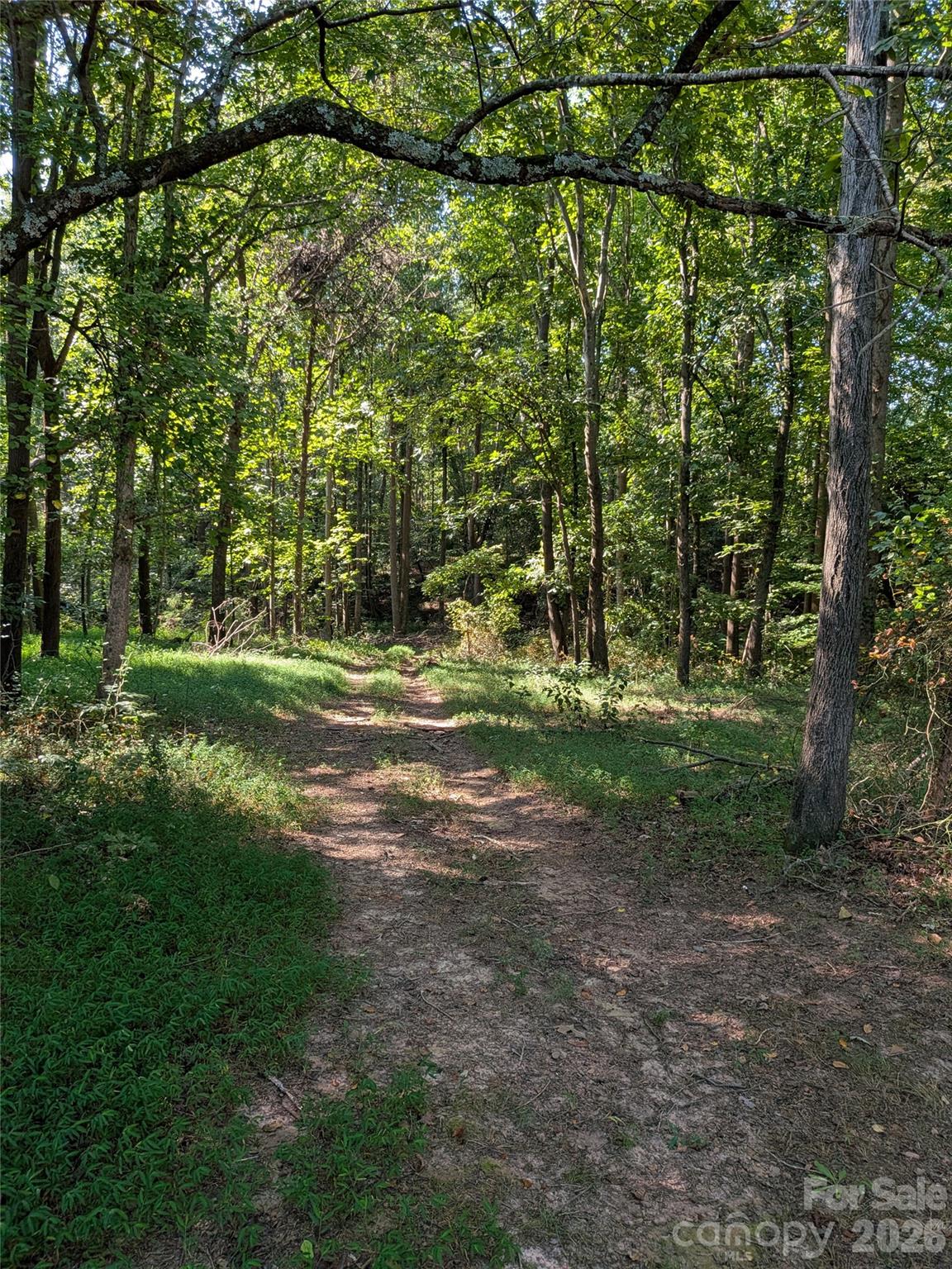 16 Acres Dan Rhyne Road Property Photo 12