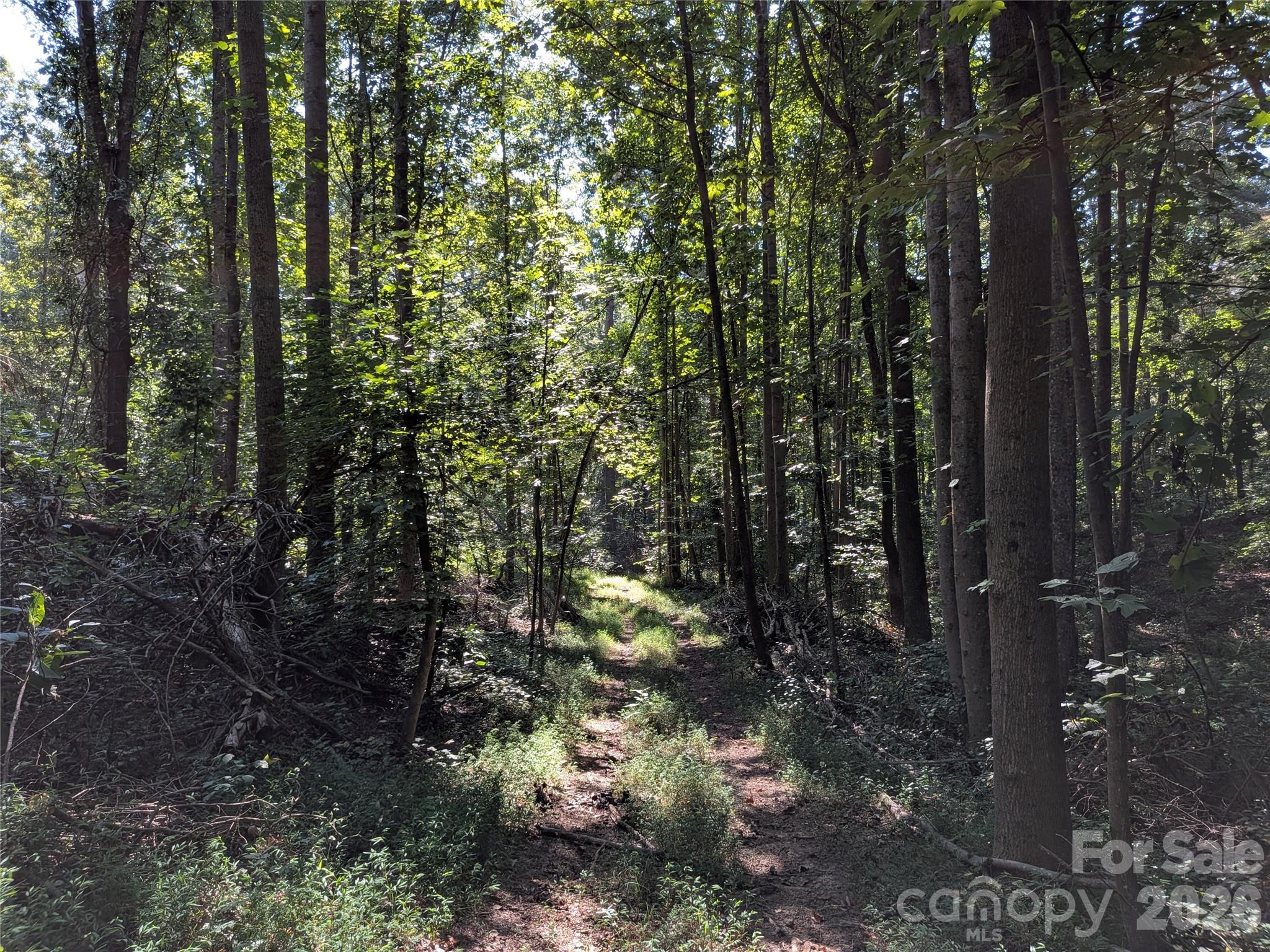16 Acres Dan Rhyne Road Property Photo 16