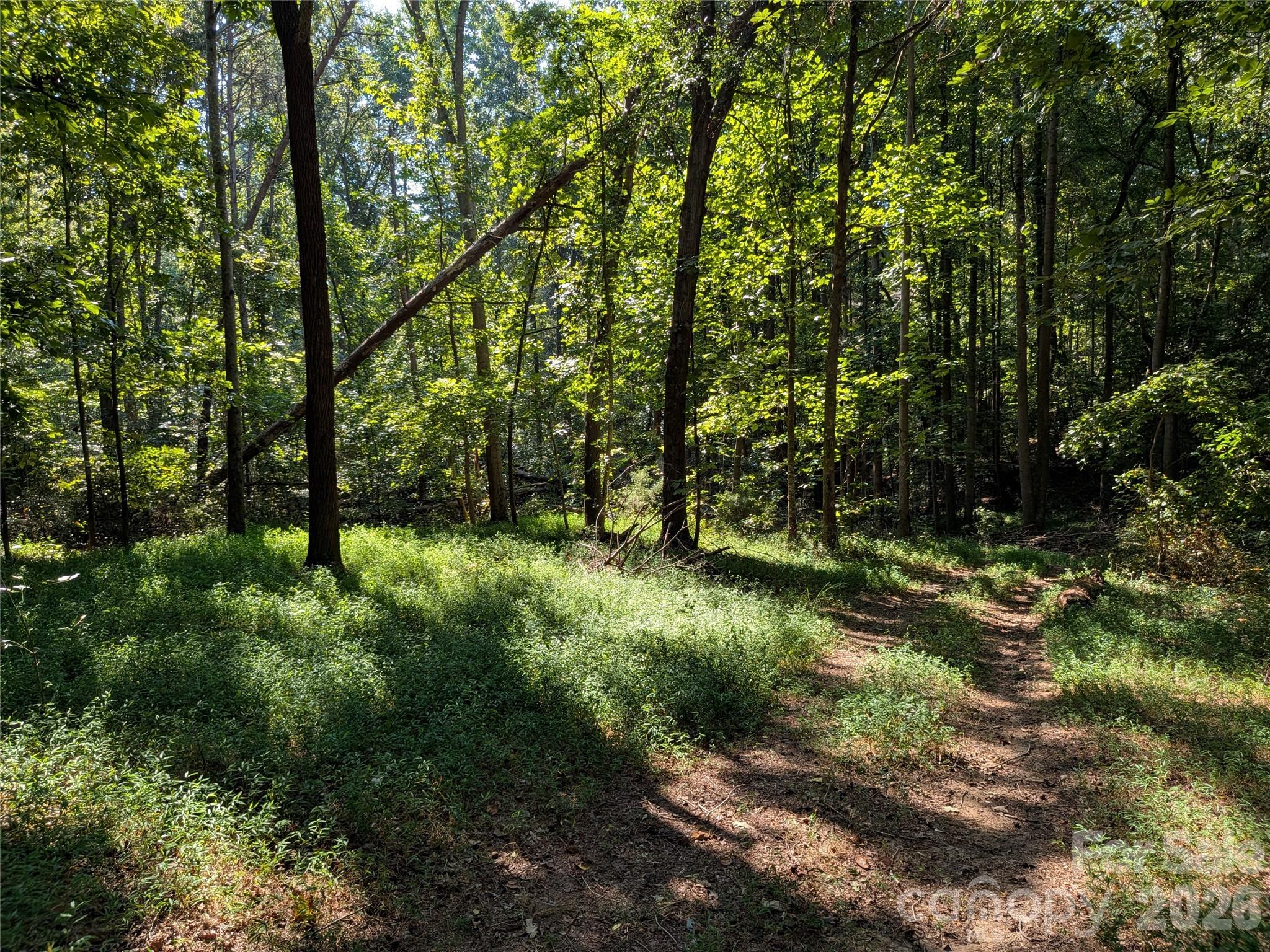16 Acres Dan Rhyne Road Property Photo 17