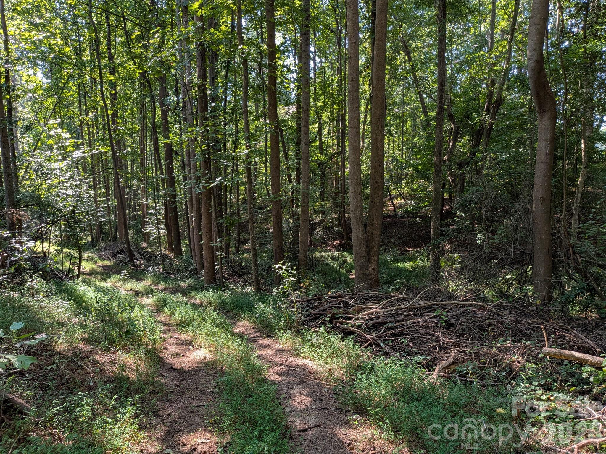 16 Acres Dan Rhyne Road Property Photo 18