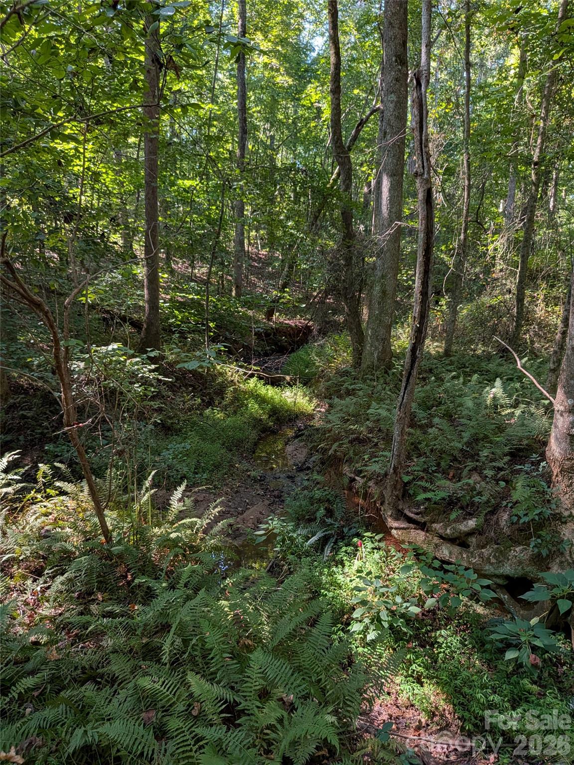 16 Acres Dan Rhyne Road Property Photo 19