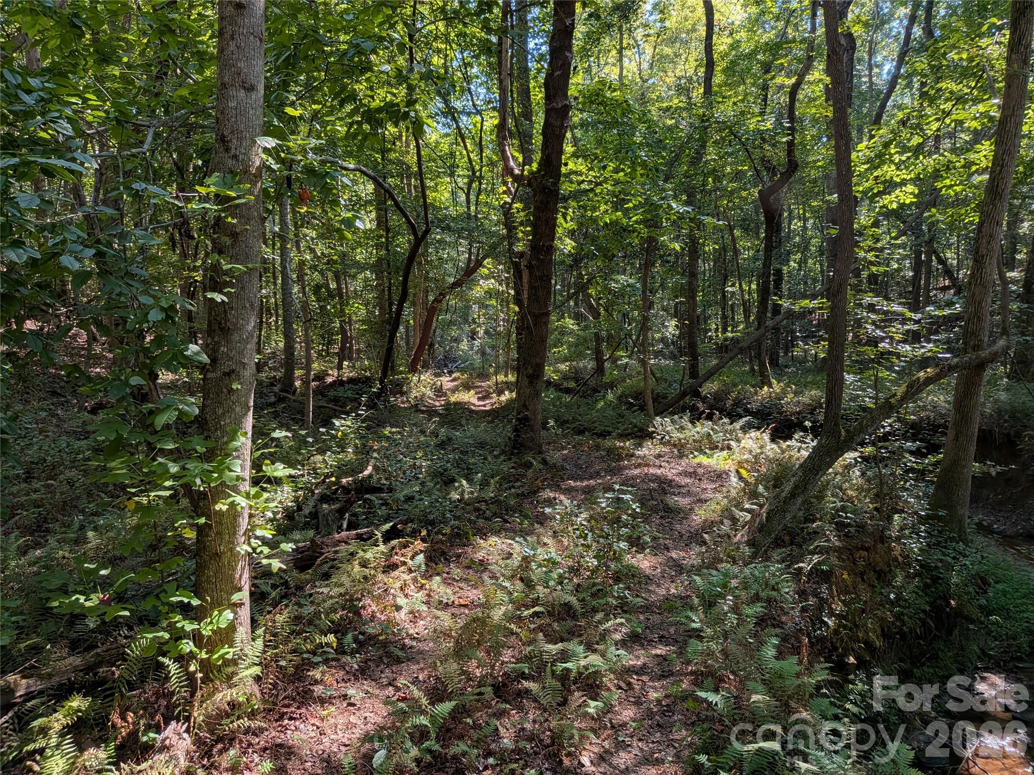 16 Acres Dan Rhyne Road Property Photo 20