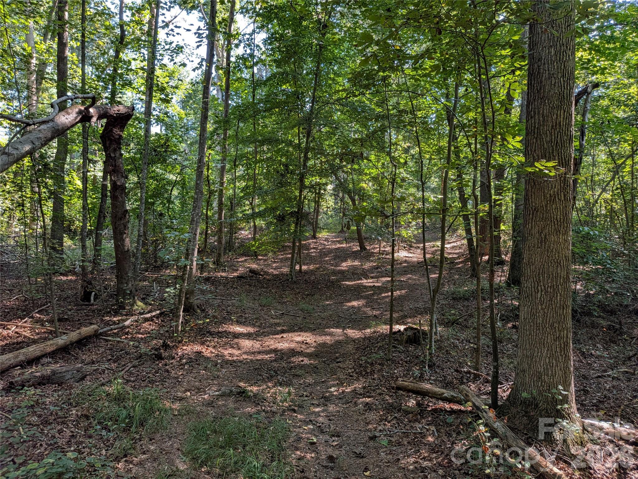 16 Acres Dan Rhyne Road Property Photo 21