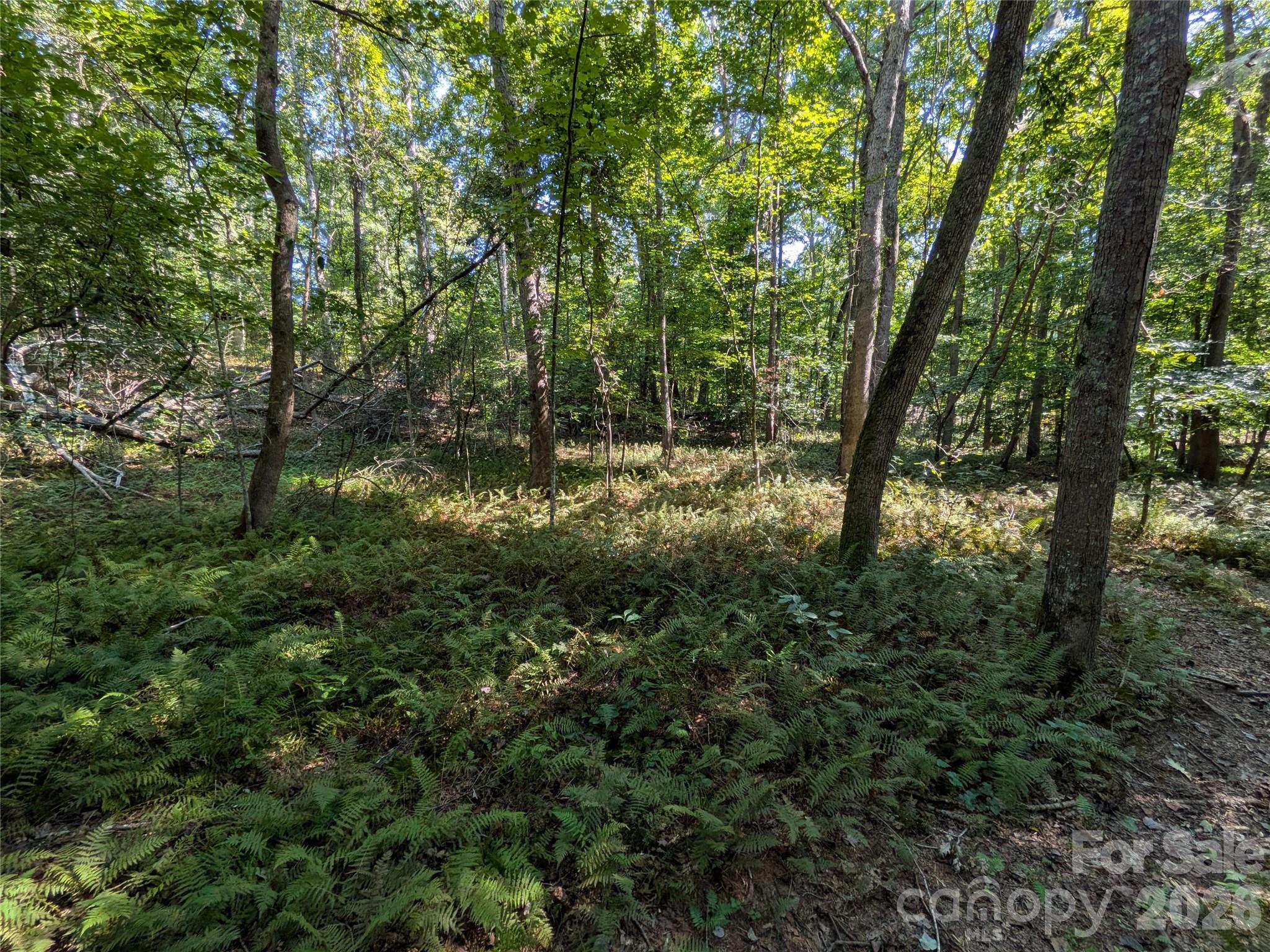 16 Acres Dan Rhyne Road Property Photo 22