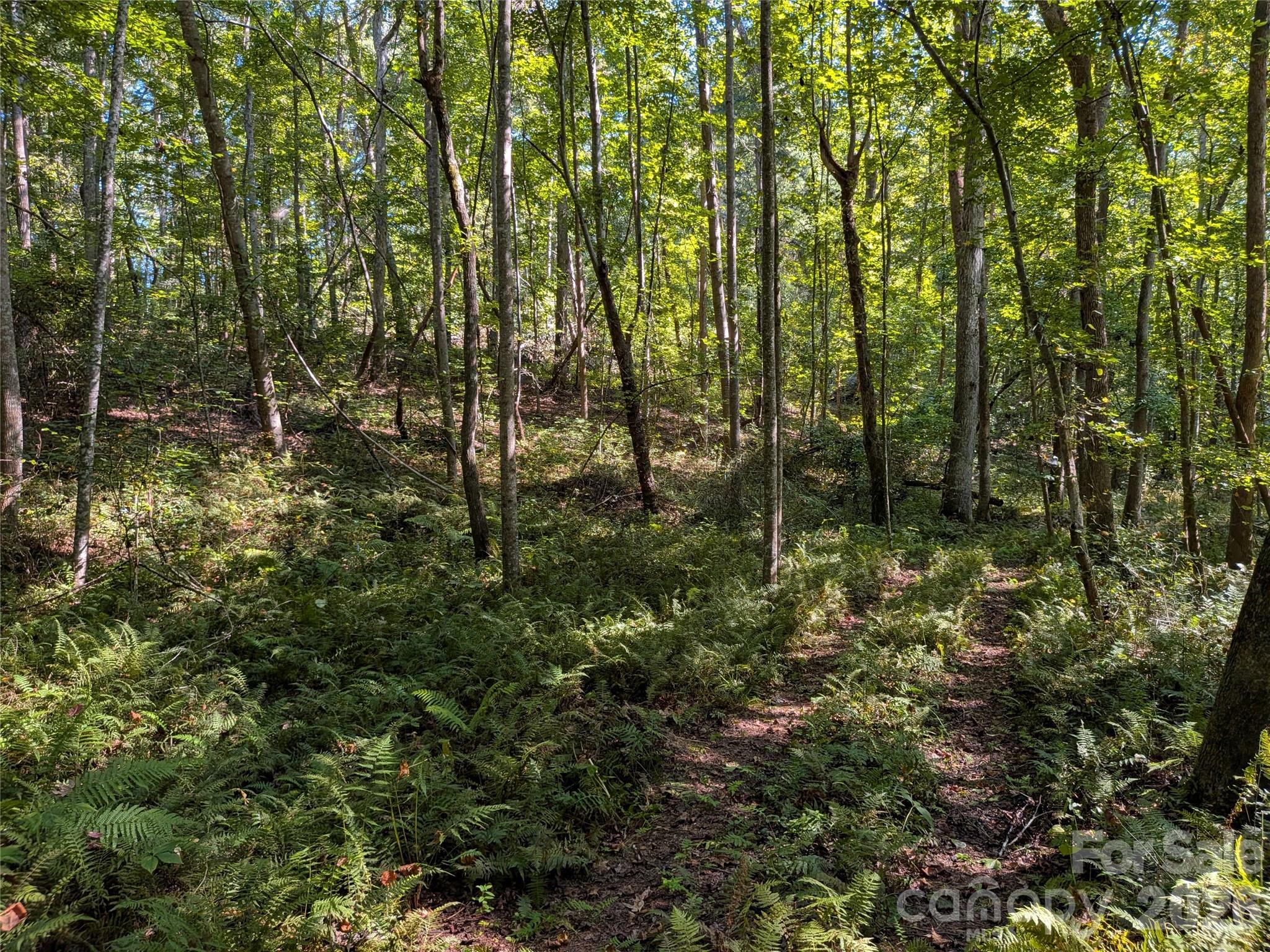 16 Acres Dan Rhyne Road Property Photo 23