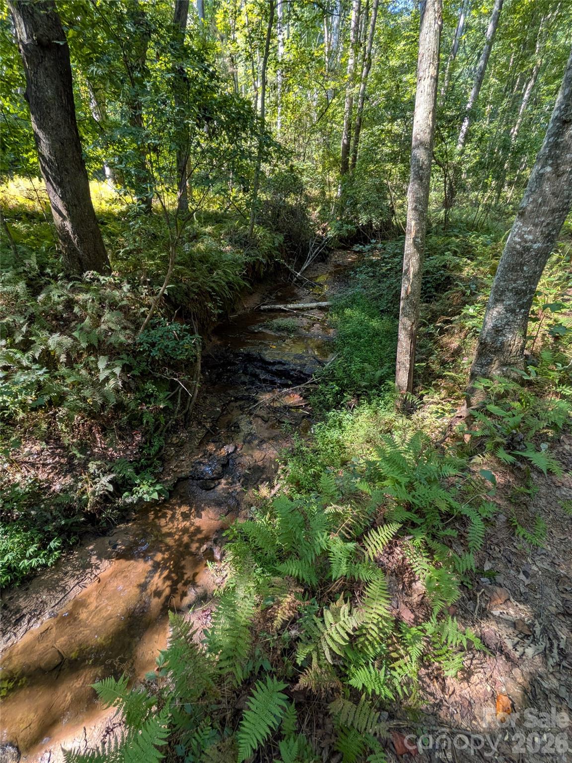 16 Acres Dan Rhyne Road Property Photo 25