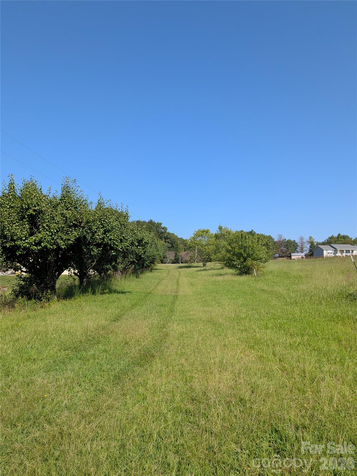 16 Acres Dan Rhyne Road Property Photo 27