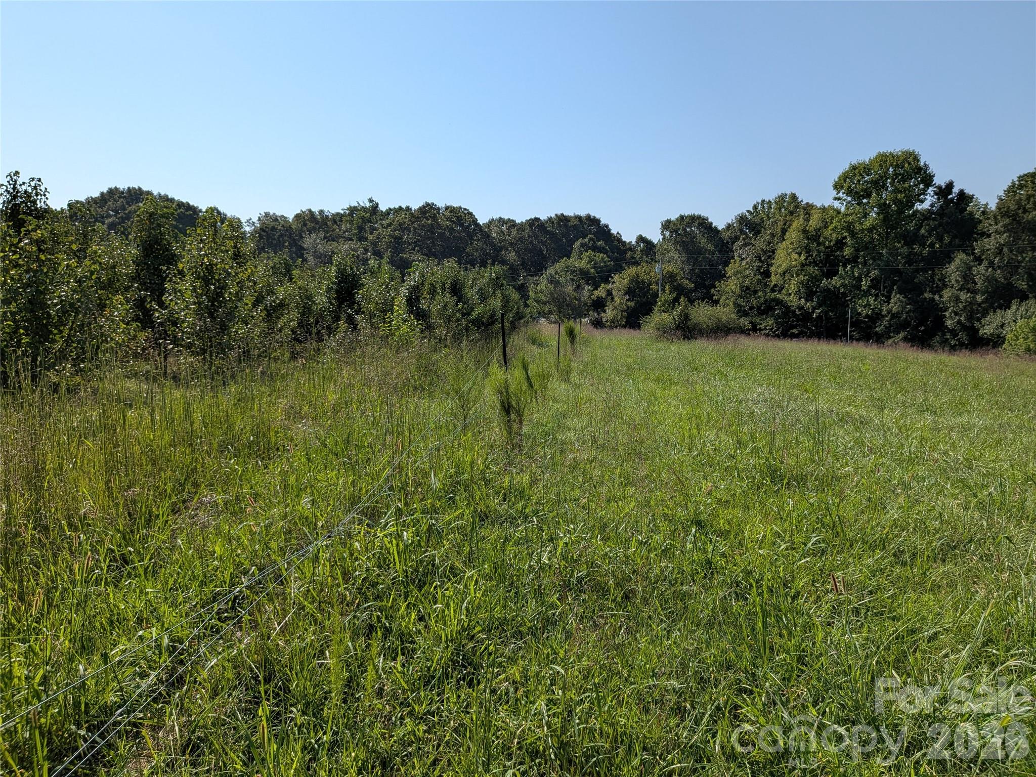 16 Acres Dan Rhyne Road Property Photo 28