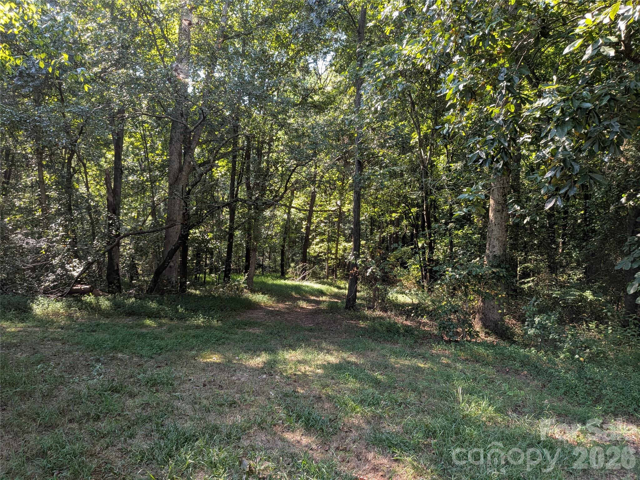 16 Acres Dan Rhyne Road Property Photo 29