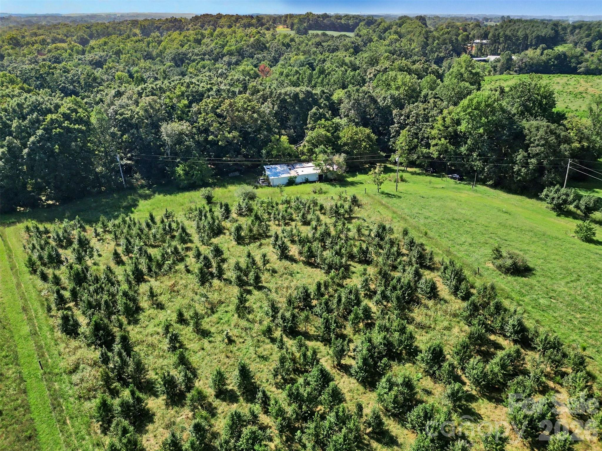 16 Acres Dan Rhyne Road Property Photo 31
