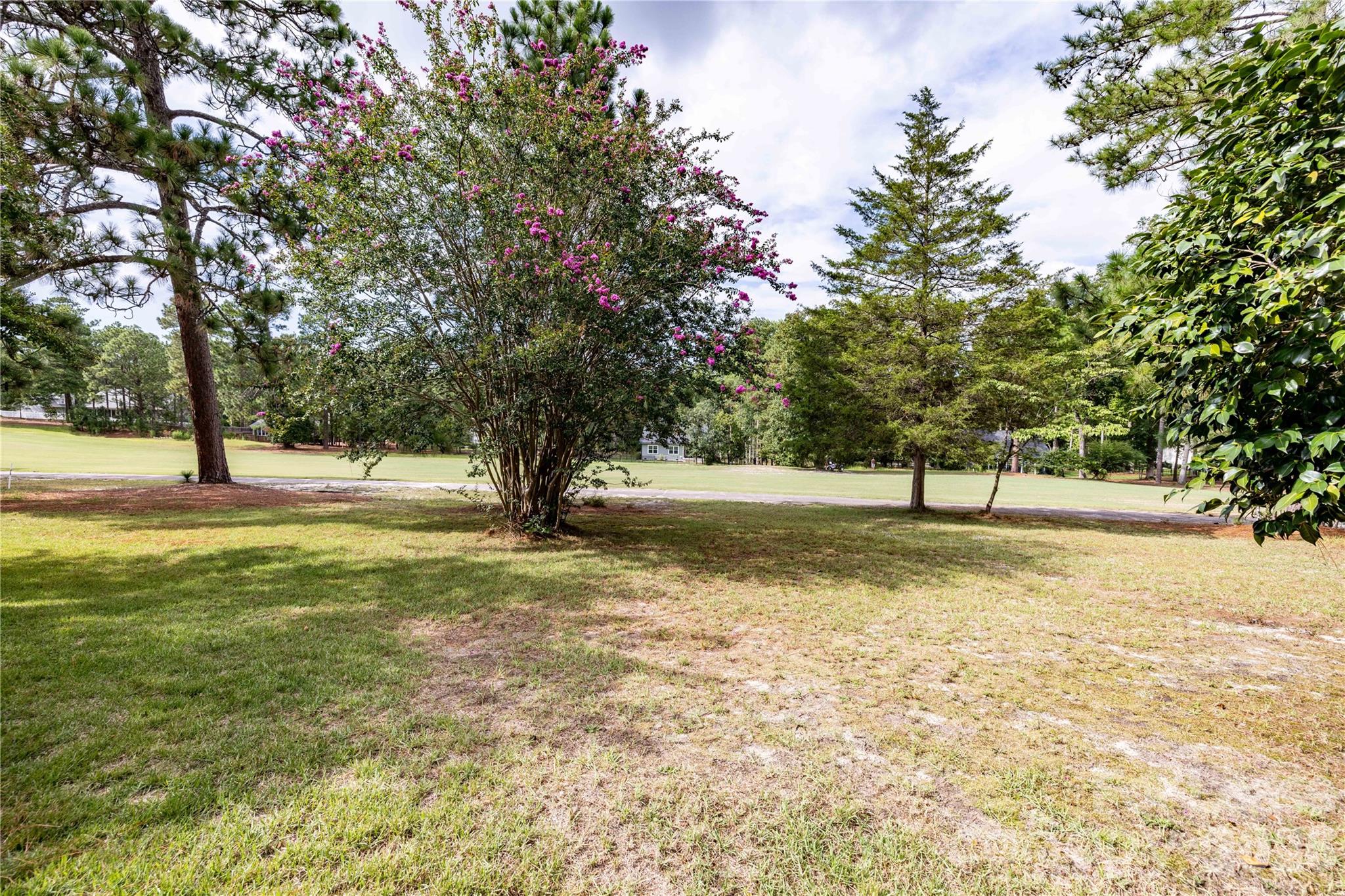 7 Buckhorn Road Property Photo 4