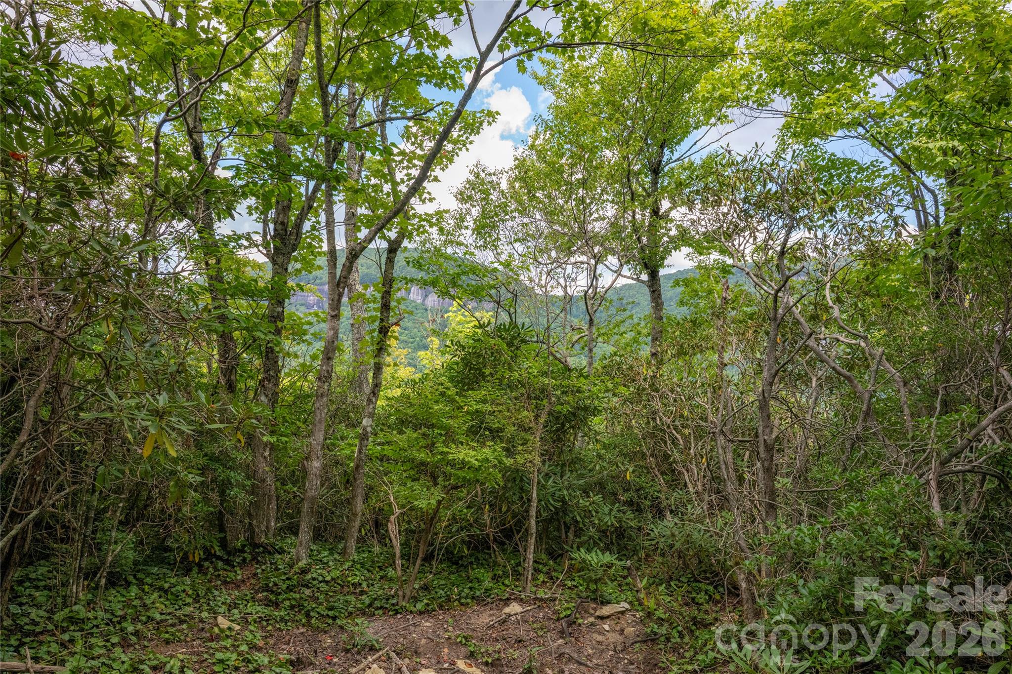 916 Meadow Ridge Drive Property Photo 3