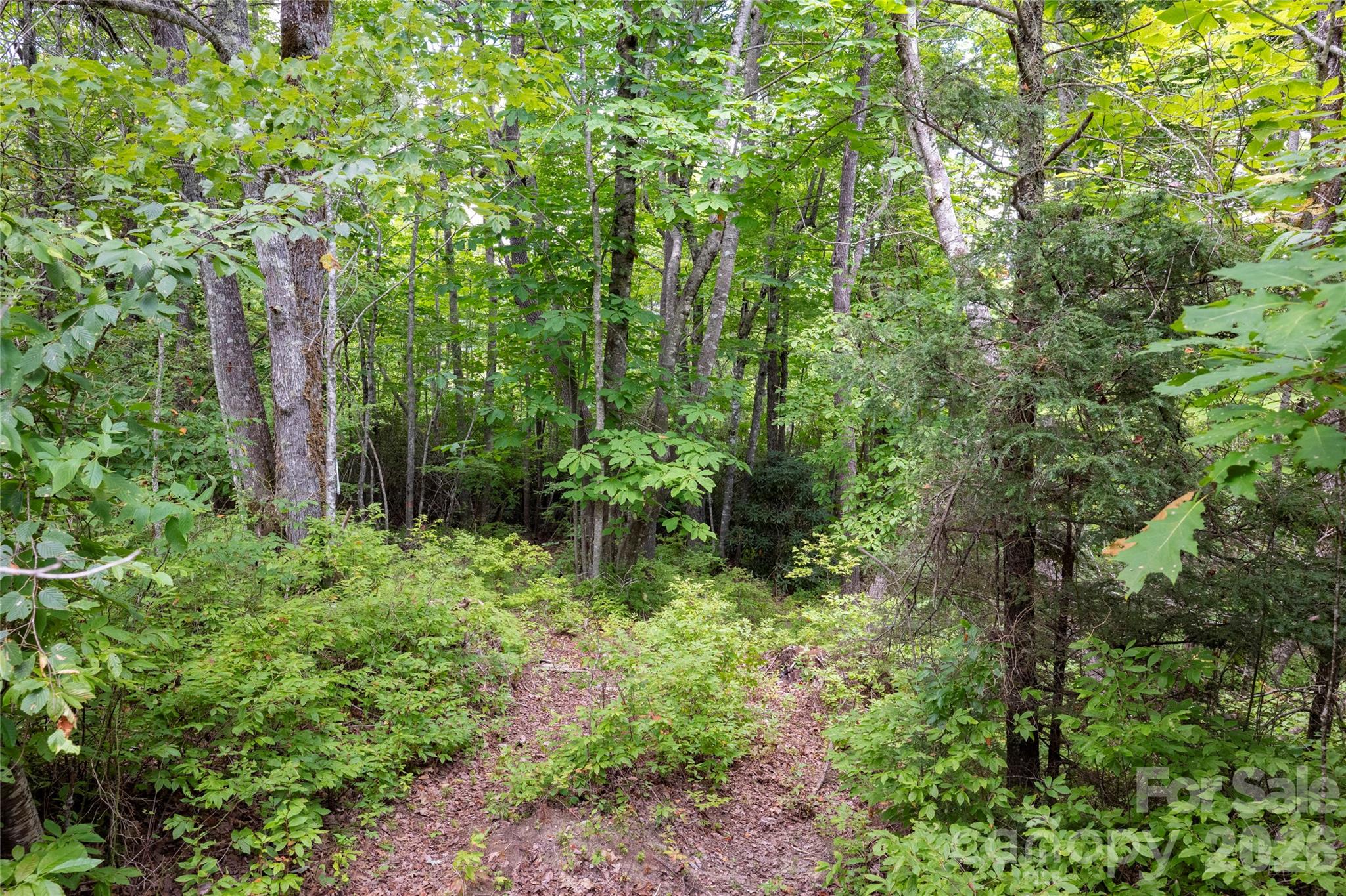 916 Meadow Ridge Drive Property Photo 4