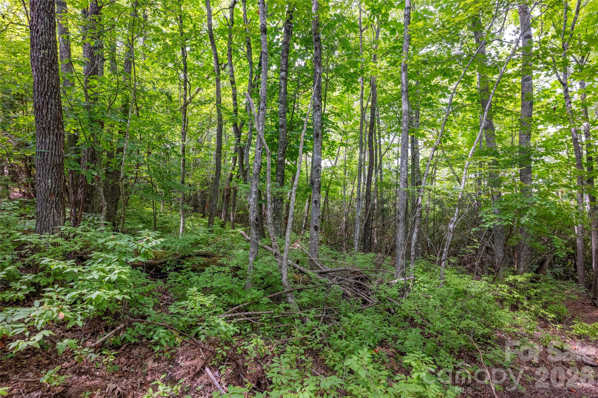 916 Meadow Ridge Drive Property Photo 5