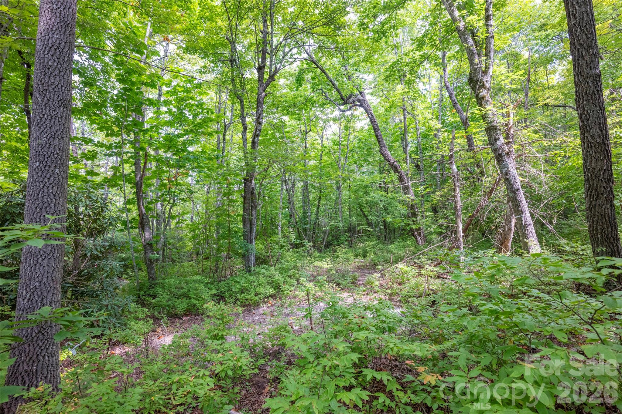 916 Meadow Ridge Drive Property Photo 6