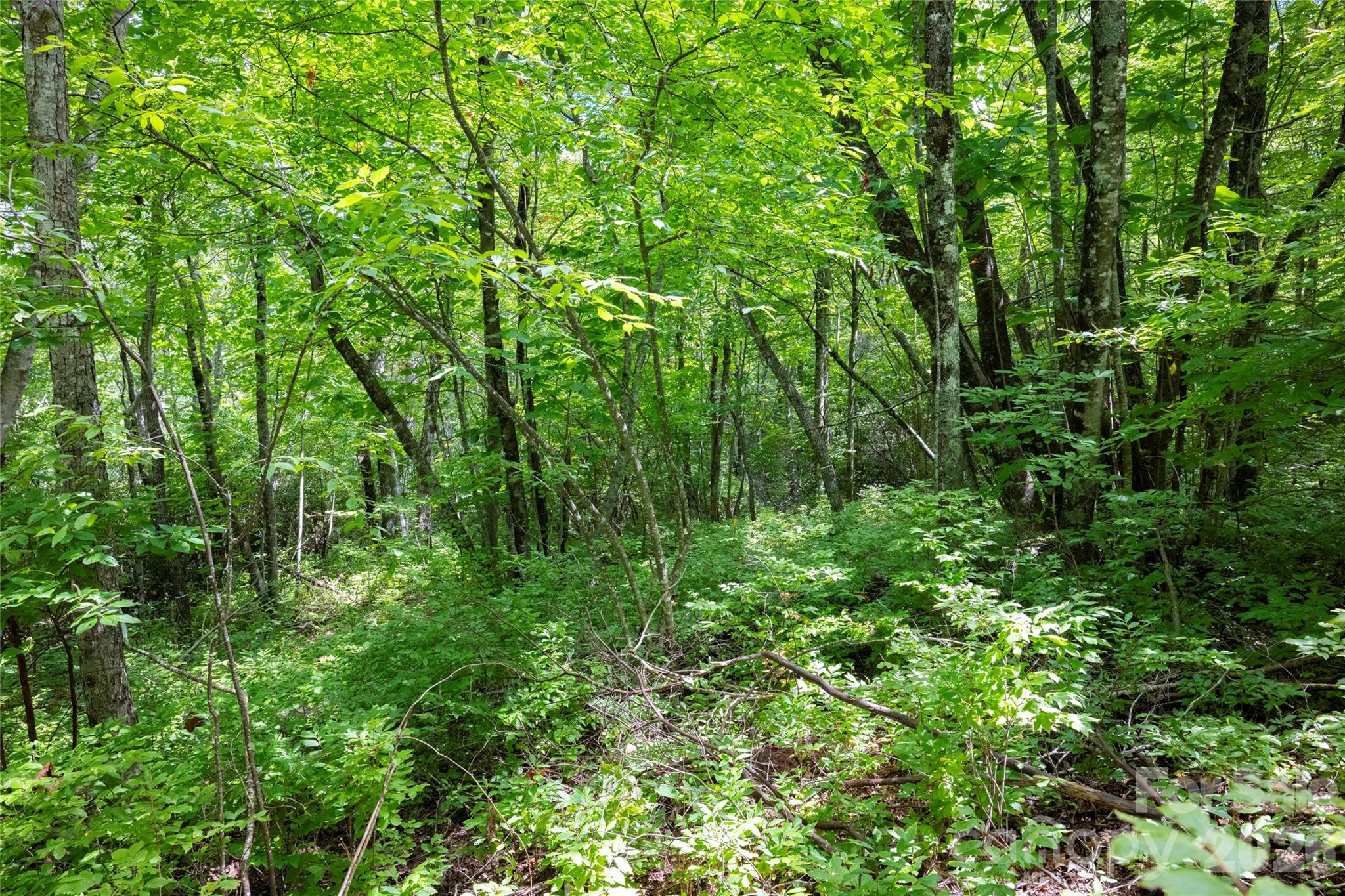 916 Meadow Ridge Drive Property Photo 8